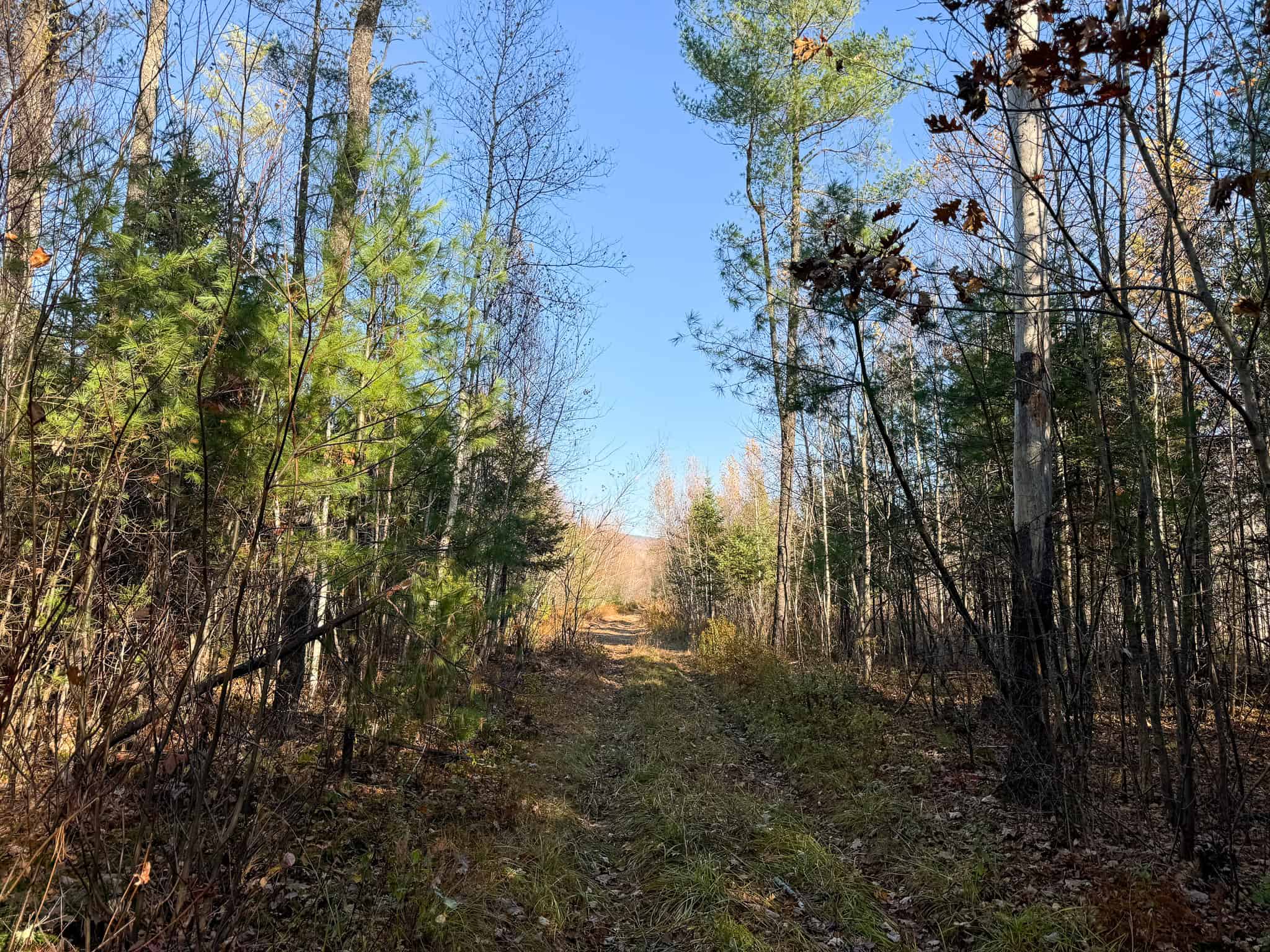 43 Acres Raw Land with River Access