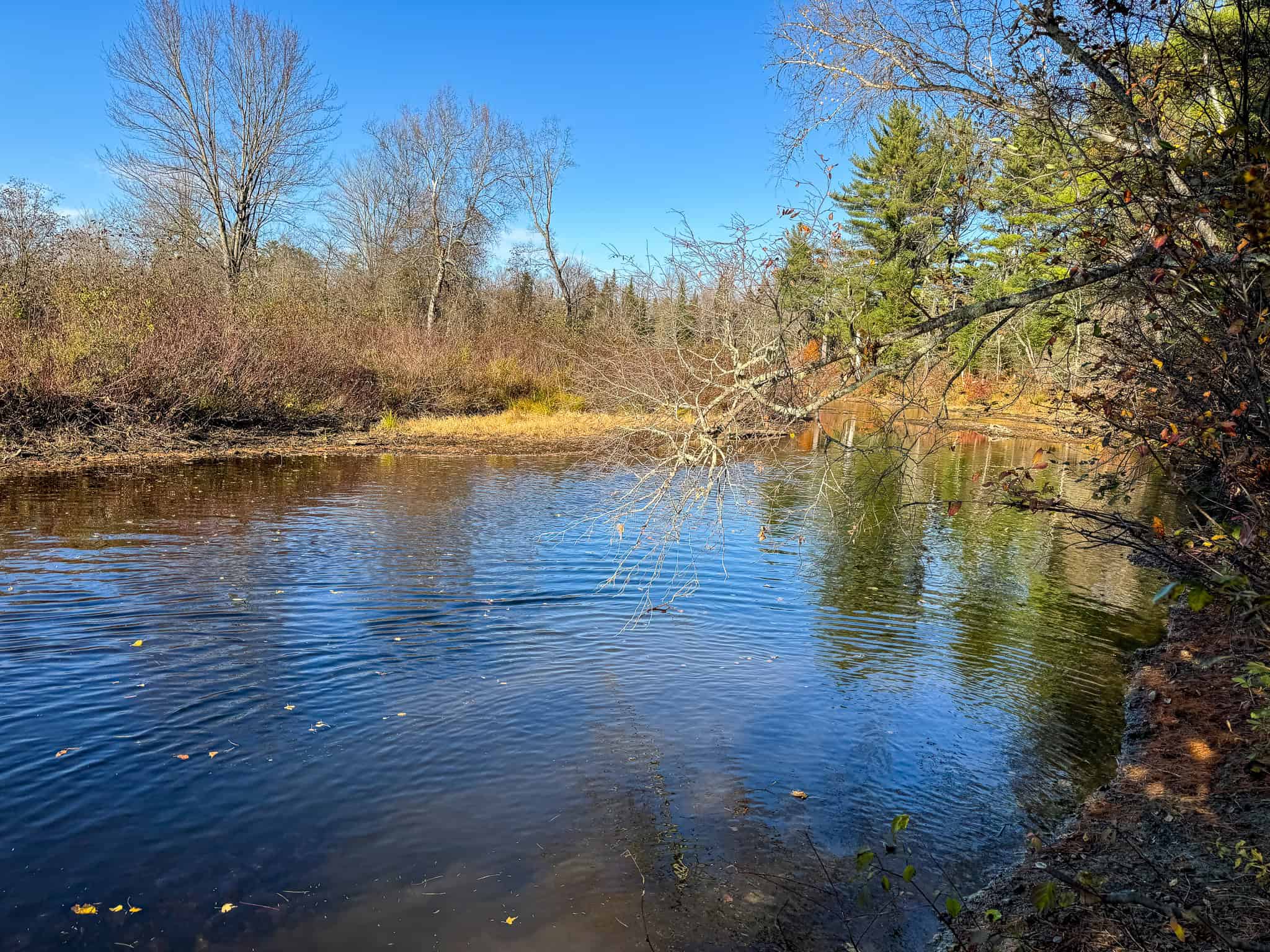 43 Acres Raw Land with River Access