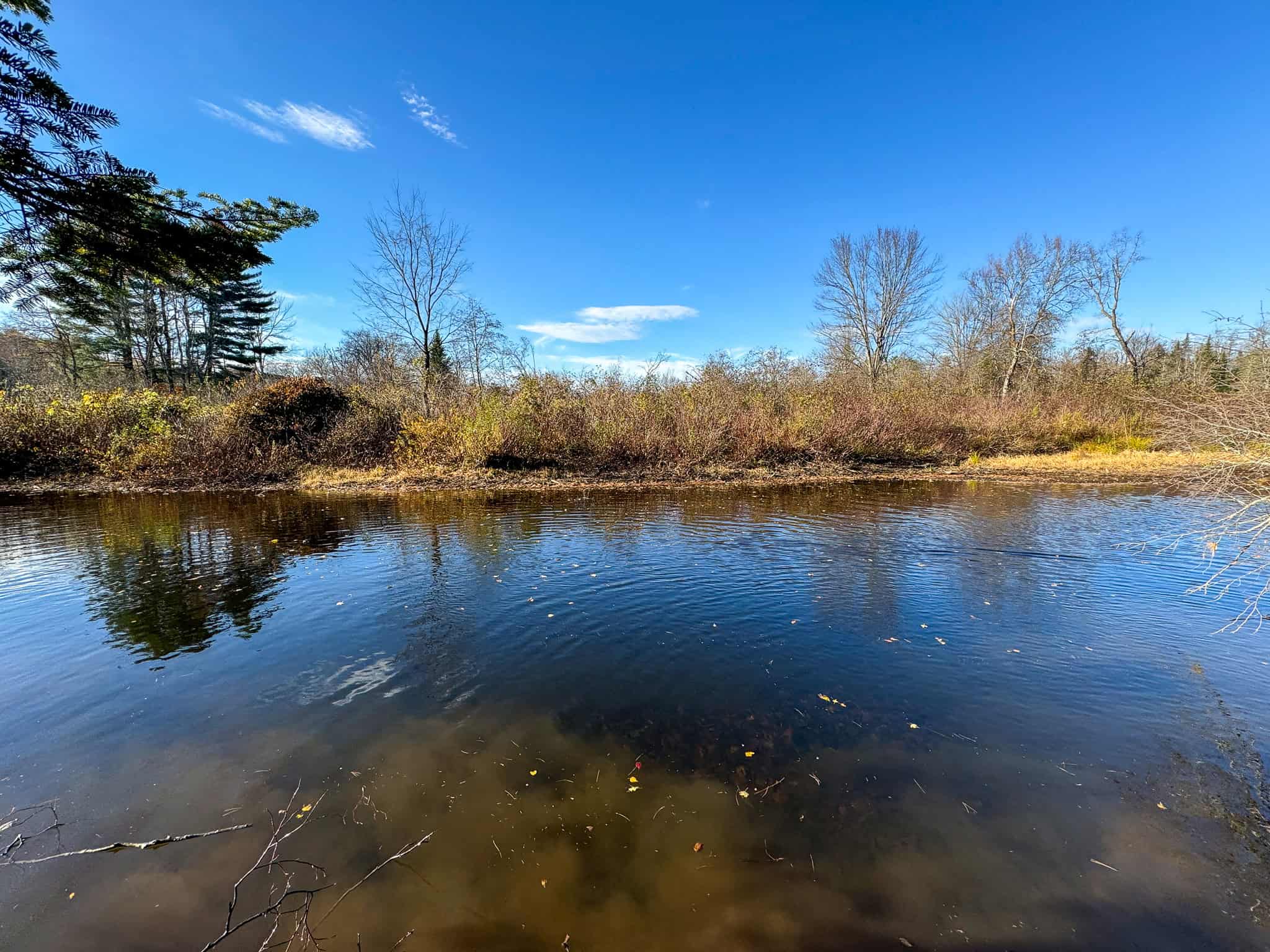 43 Acres Raw Land with River Access