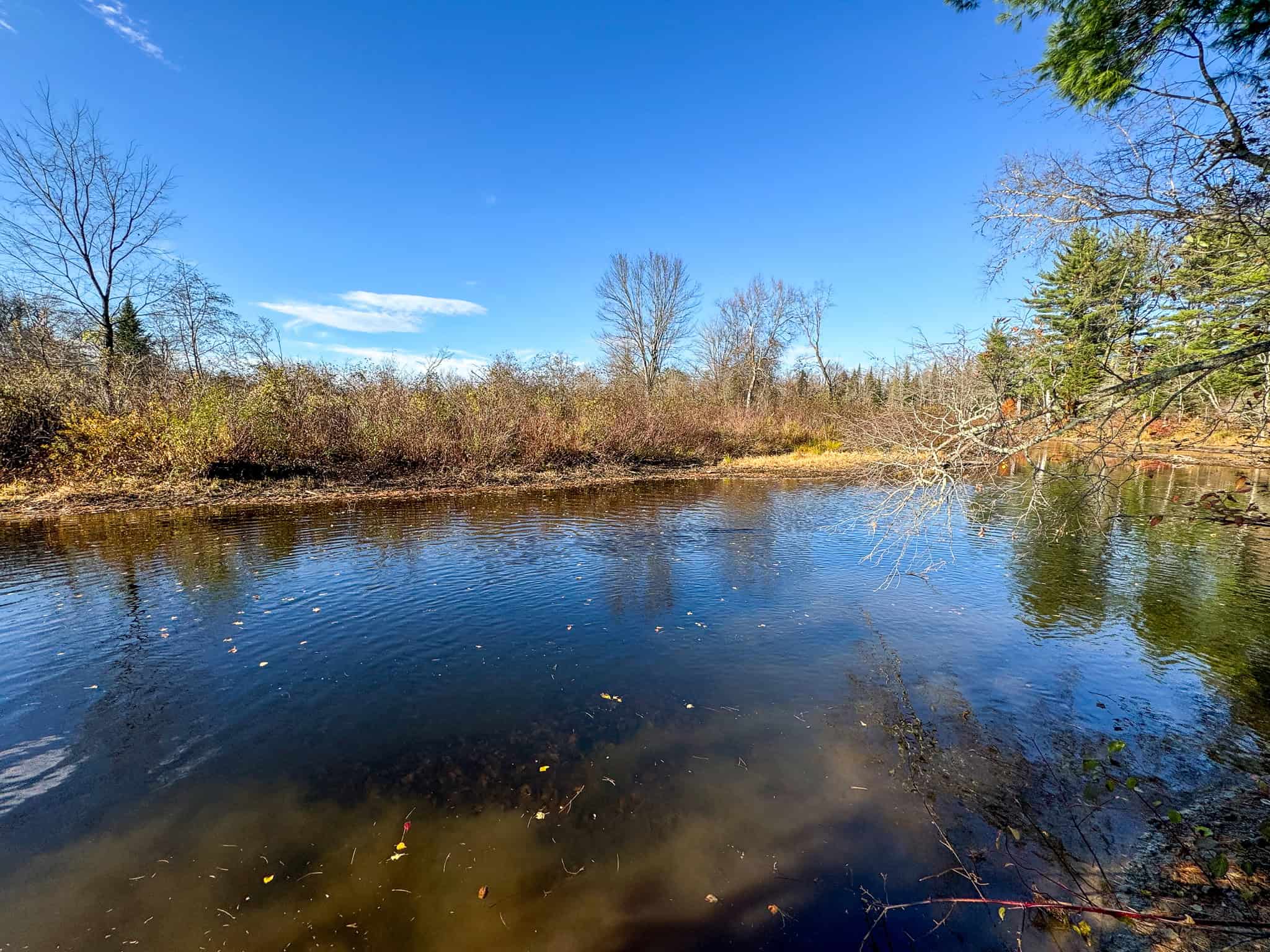 43 Acres Raw Land with River Access