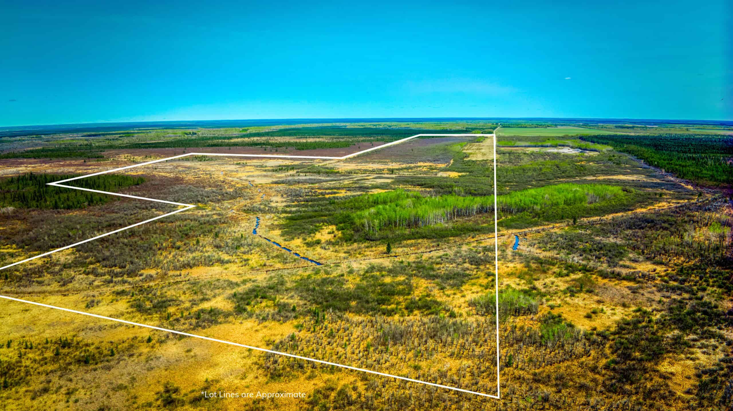 Hunting and Recreational Land for Sale near Baudette, MN