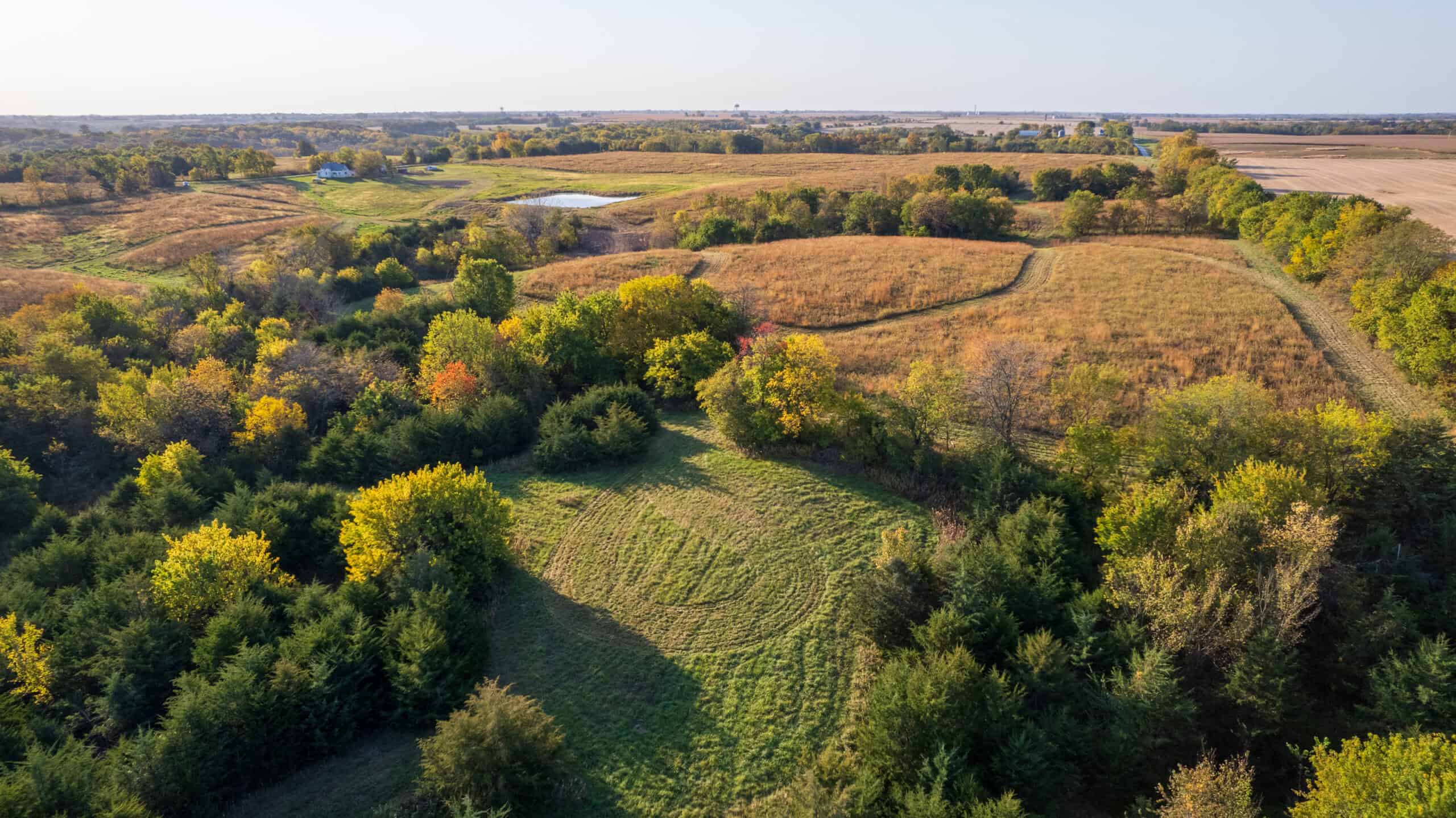 Diverse Hunting and Recreational Tract in Highly Sought After Area of