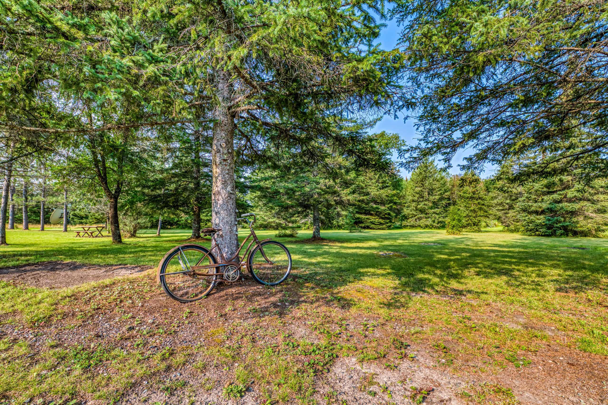Hunting Land with Cabin & Buildings for Sale in Itasca County, MN