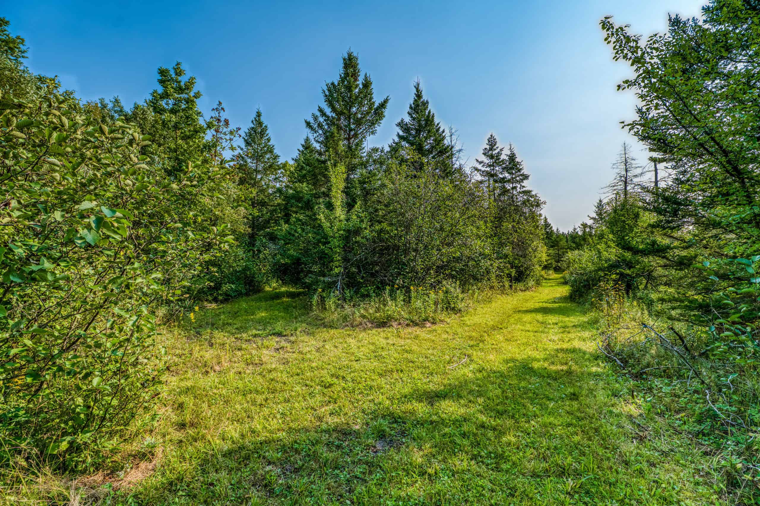 Hunting Land with Cabin & Buildings for Sale in Itasca County, MN