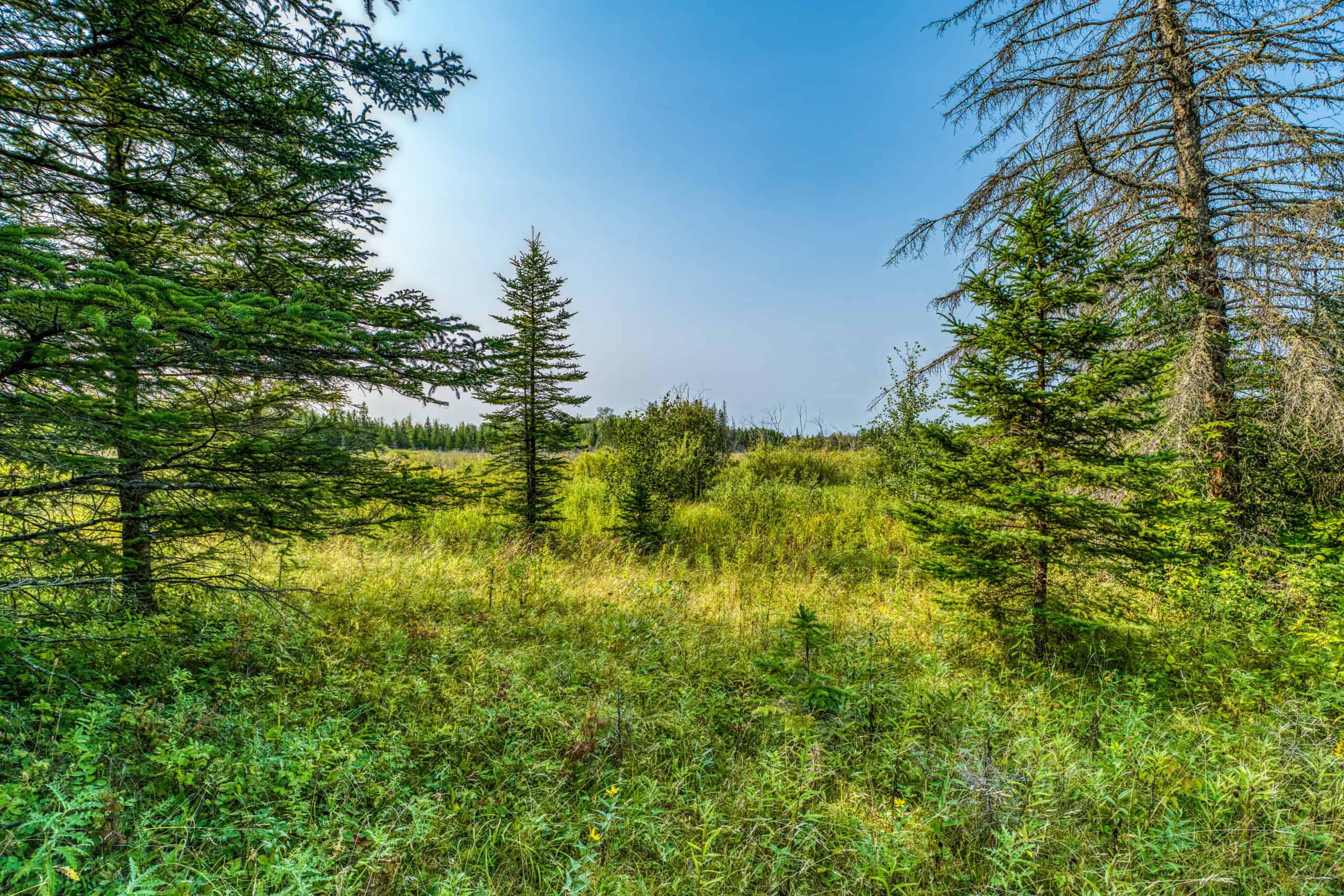 Hunting Land with Cabin & Buildings for Sale in Itasca County, MN