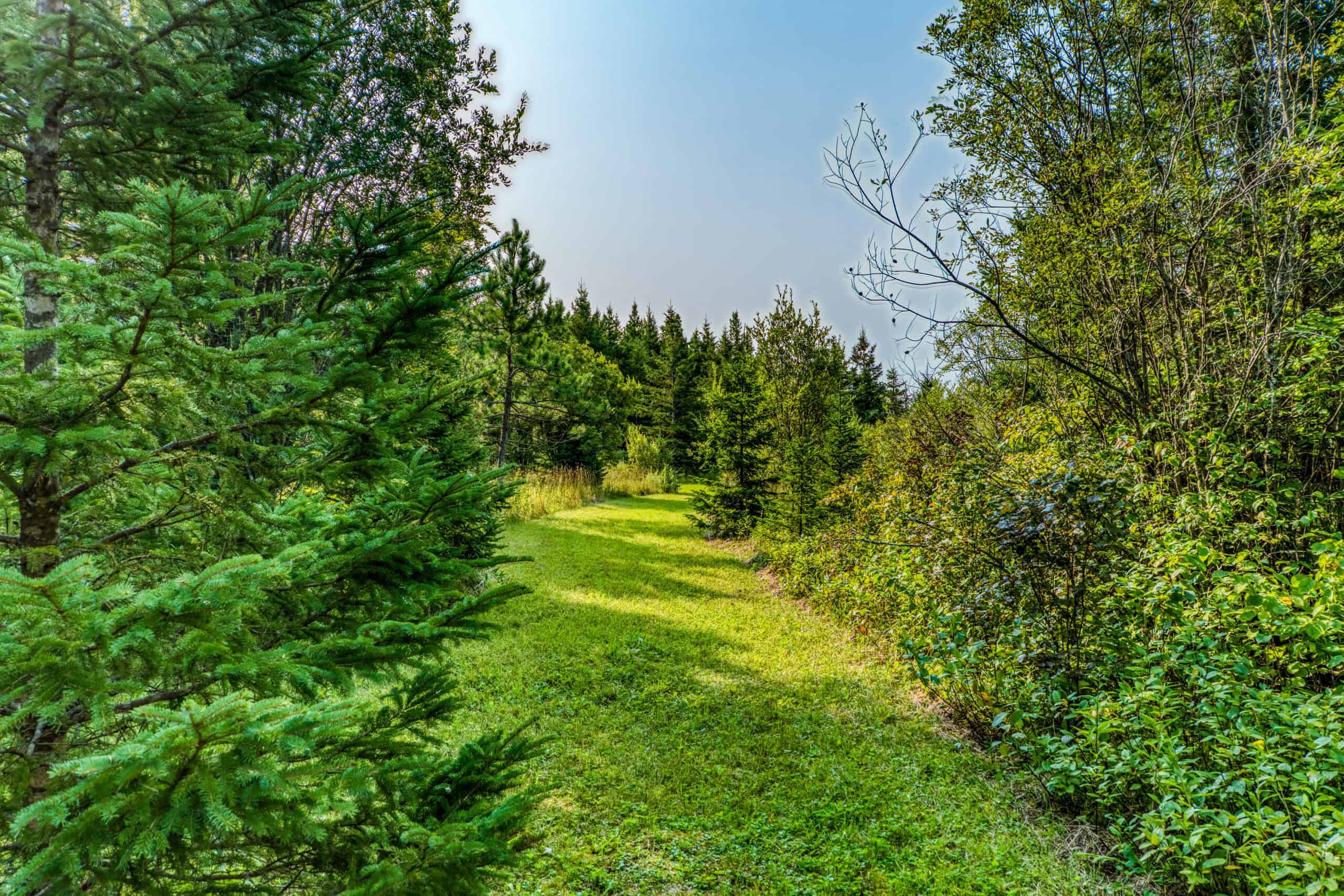 Hunting Land with Cabin & Buildings for Sale in Itasca County, MN