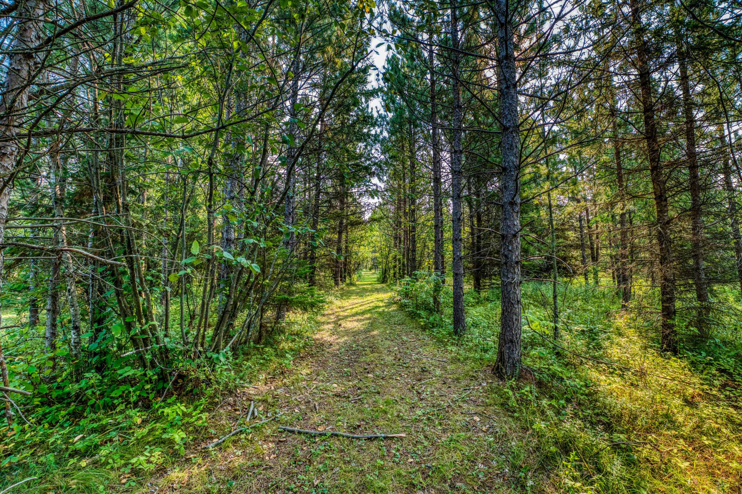 Hunting Land with Cabin & Buildings for Sale in Itasca County, MN