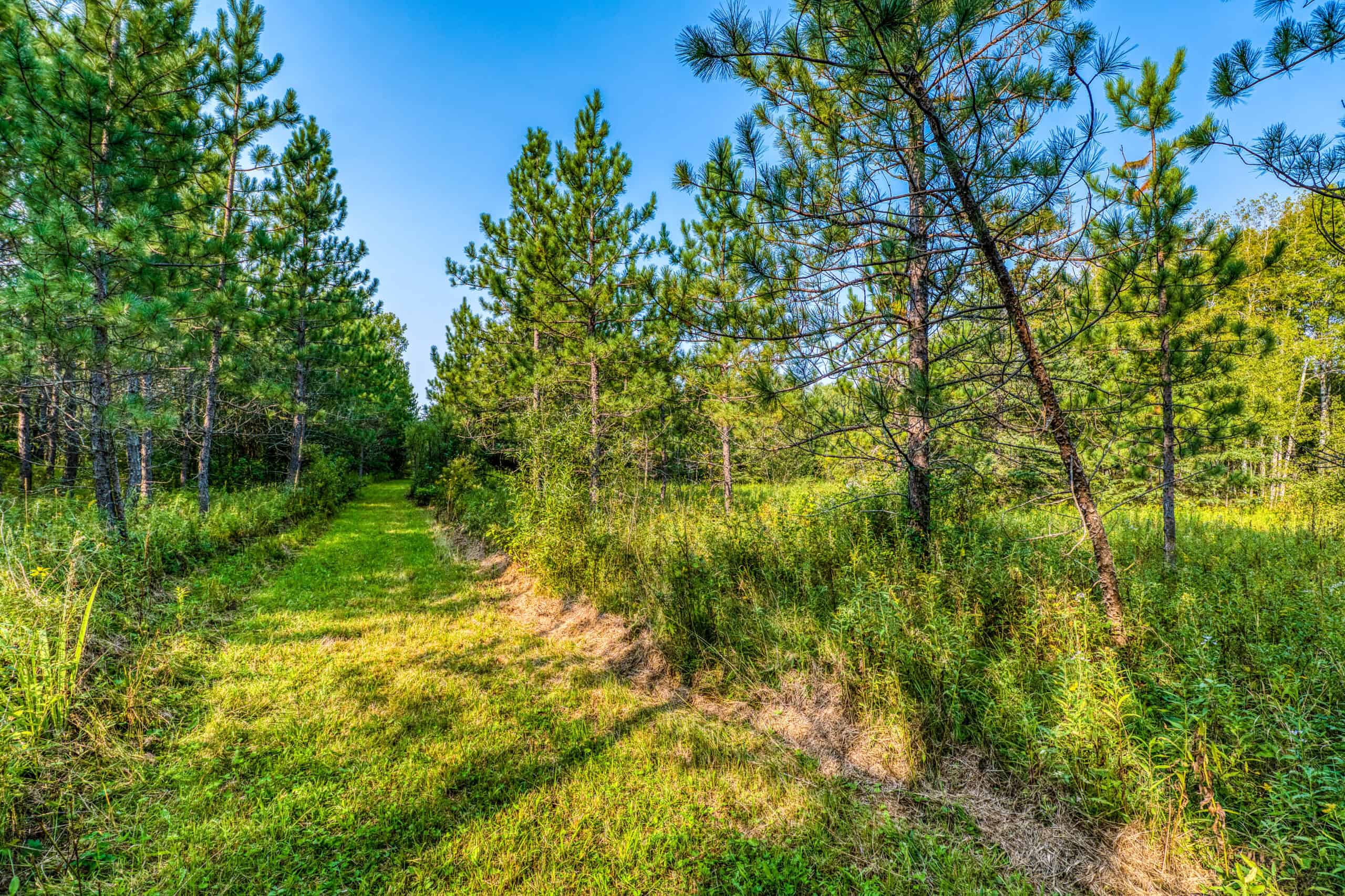 Hunting Land with Cabin & Buildings for Sale in Itasca County, MN