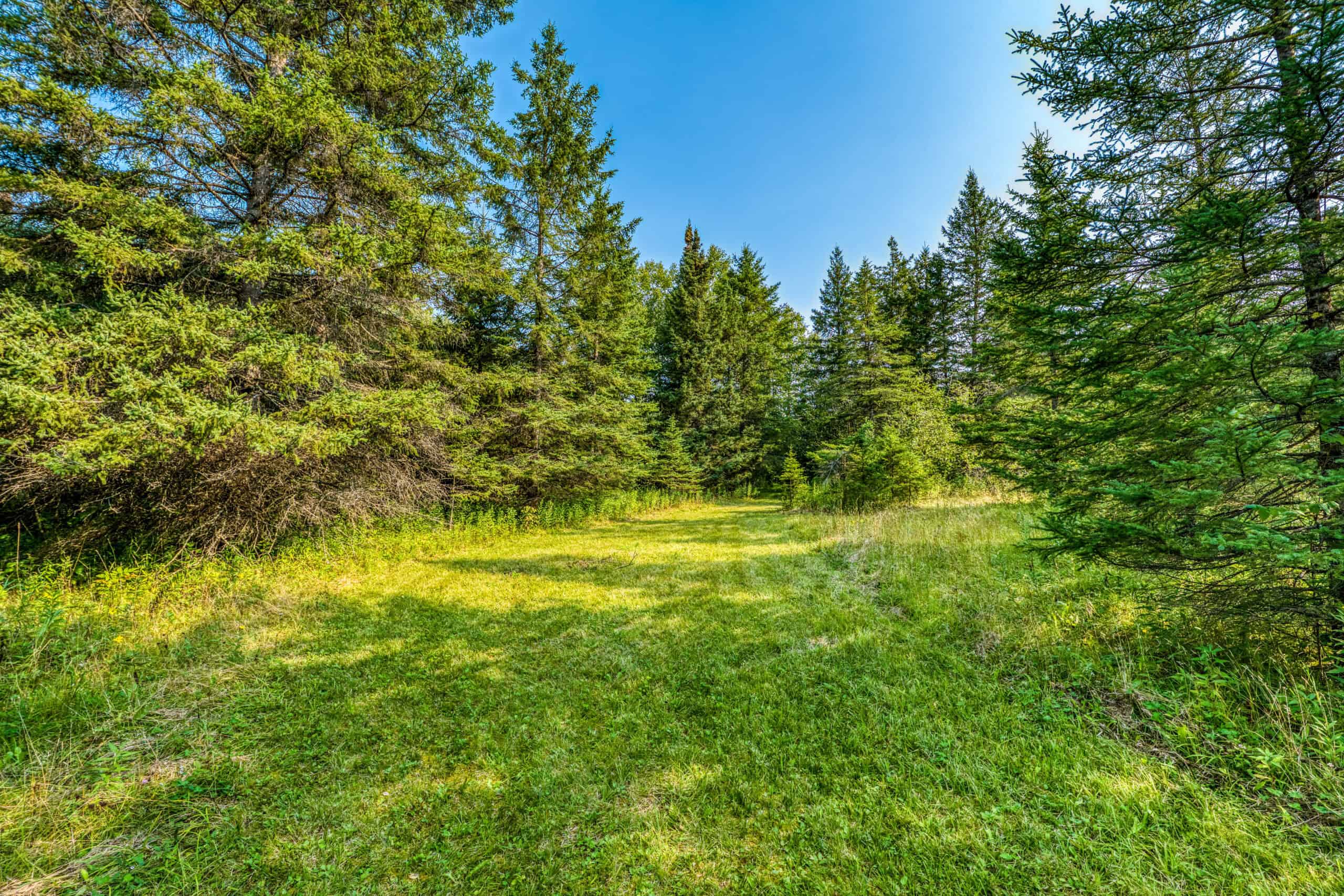 Hunting Land with Cabin & Buildings for Sale in Itasca County, MN