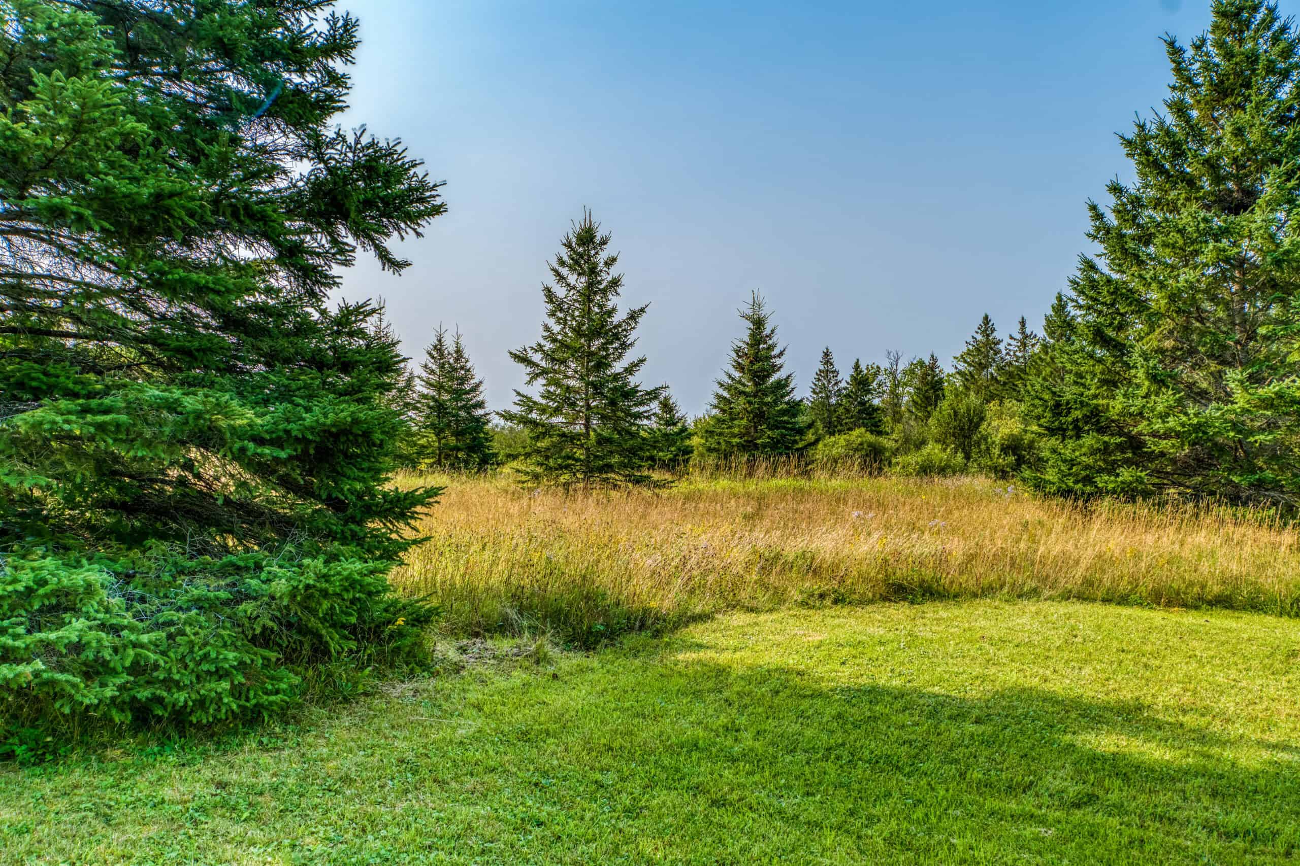 Hunting Land with Cabin & Buildings for Sale in Itasca County, MN