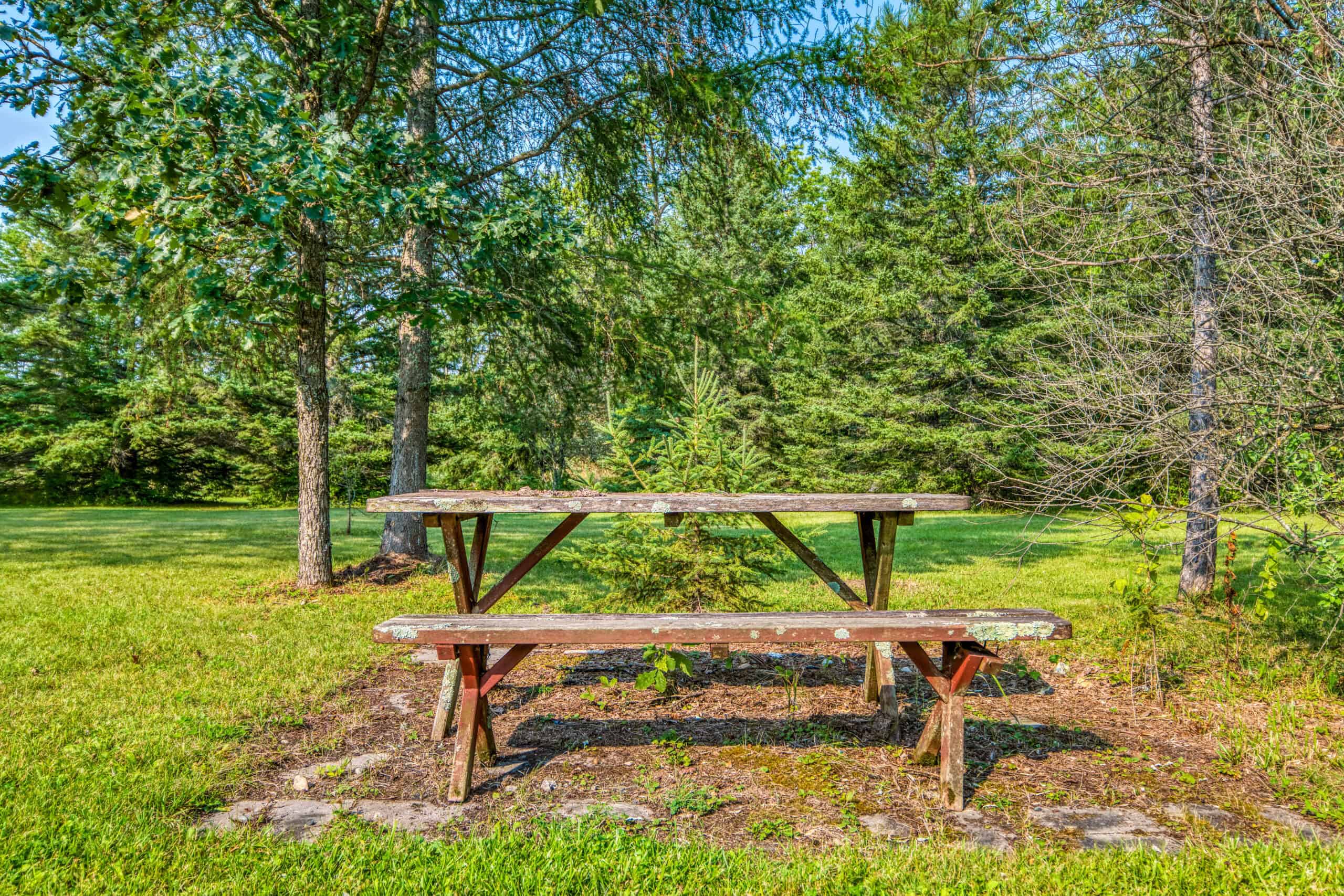Hunting Land with Cabin & Buildings for Sale in Itasca County, MN