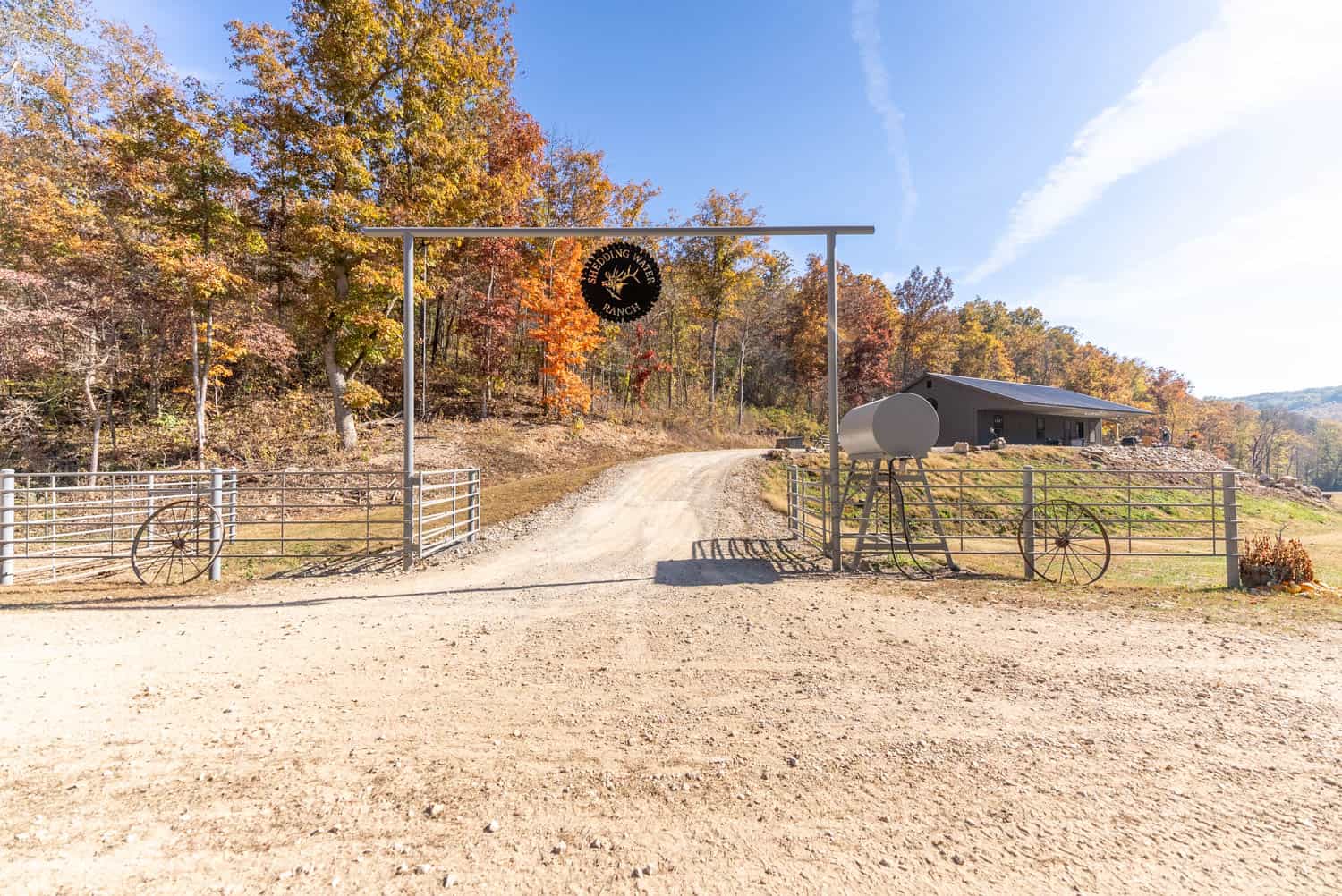 Home and 60+/- Acres Surrounded by Conservation | Prime Hunting Property