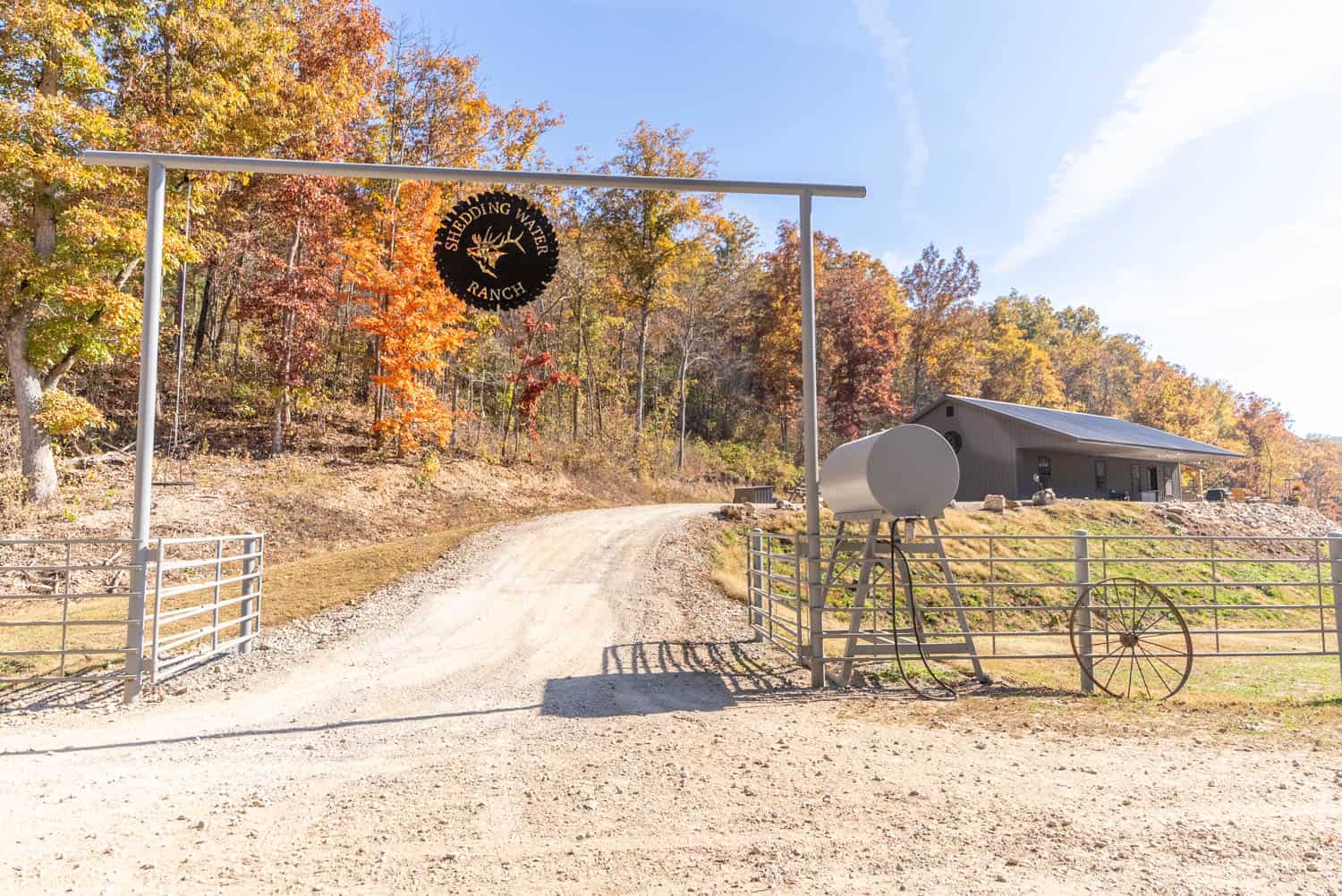 Home and 60+/- Acres Surrounded by Conservation | Prime Hunting Property