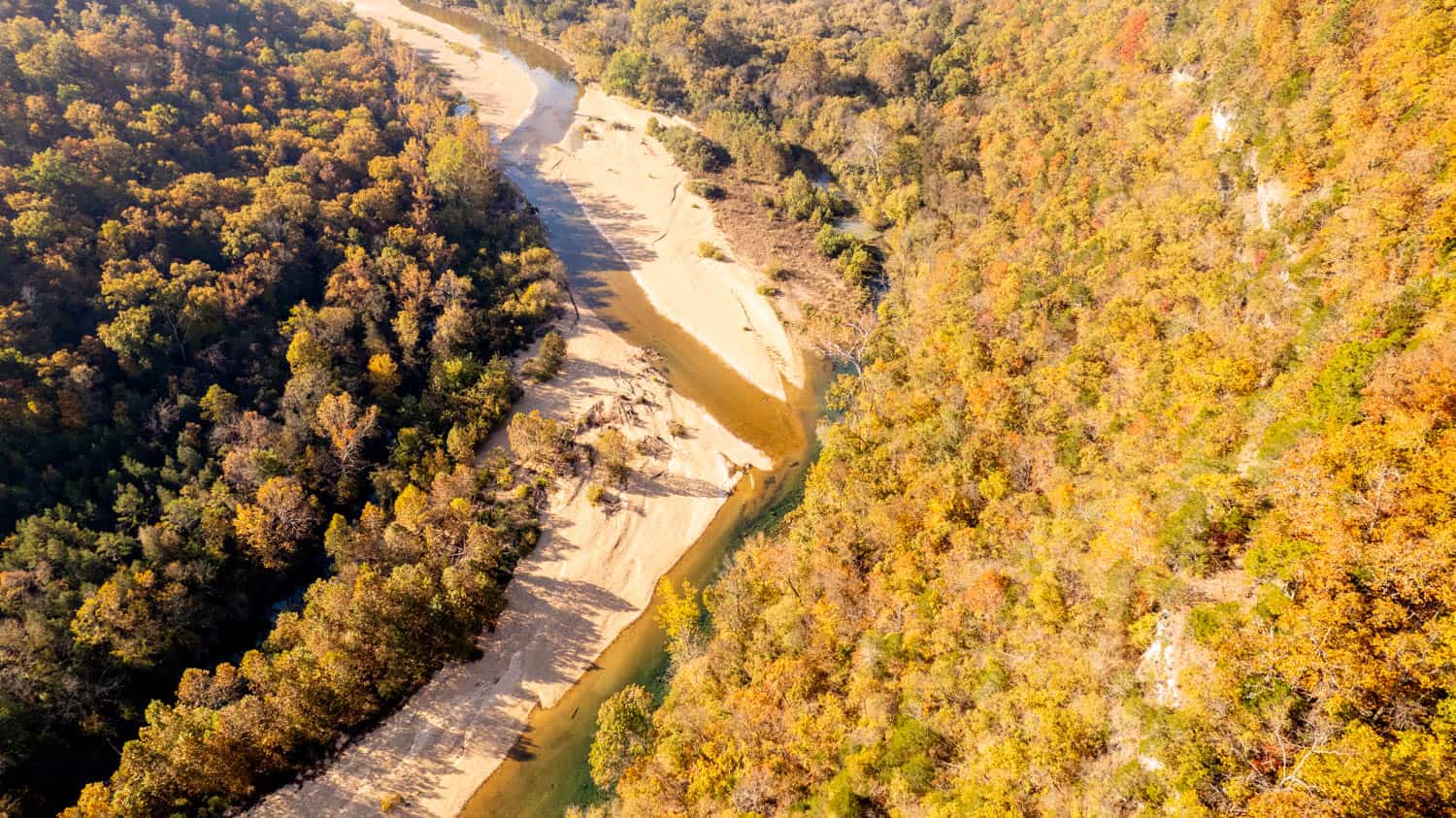 Home and 60+/- Acres Surrounded by Conservation | Prime Hunting Property