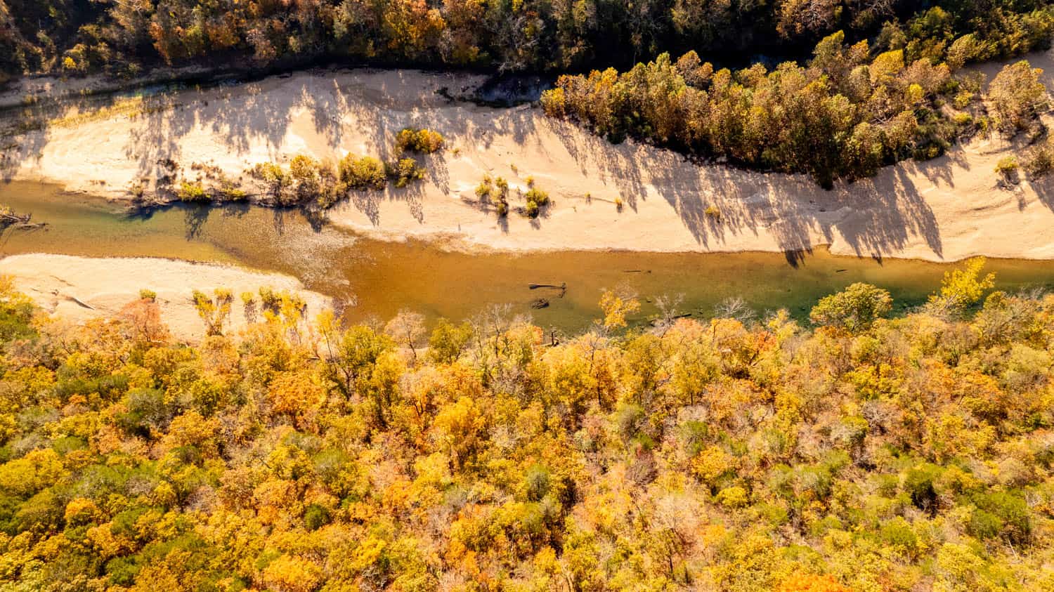 Home and 60+/- Acres Surrounded by Conservation | Prime Hunting Property