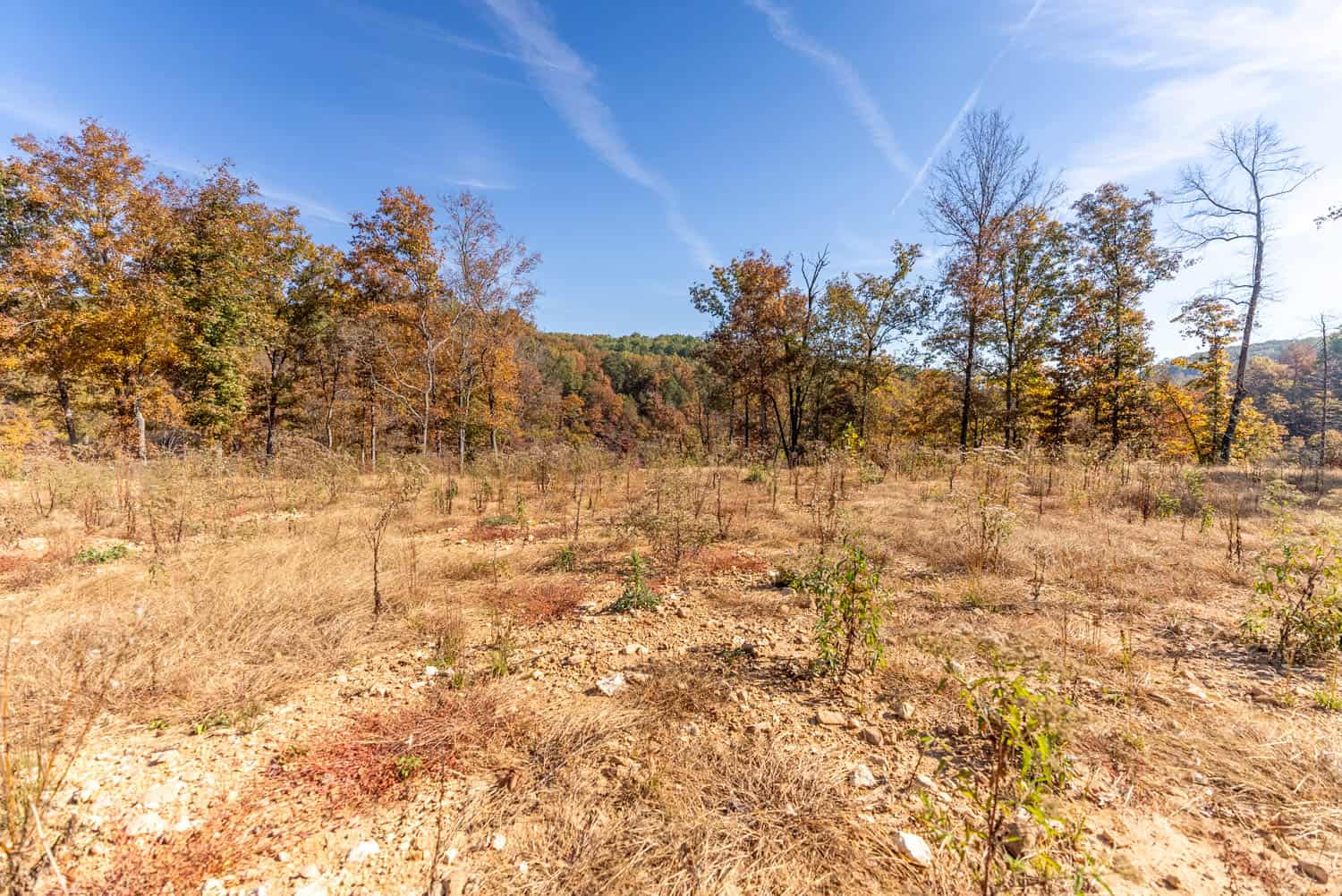 Home and 60+/- Acres Surrounded by Conservation | Prime Hunting Property
