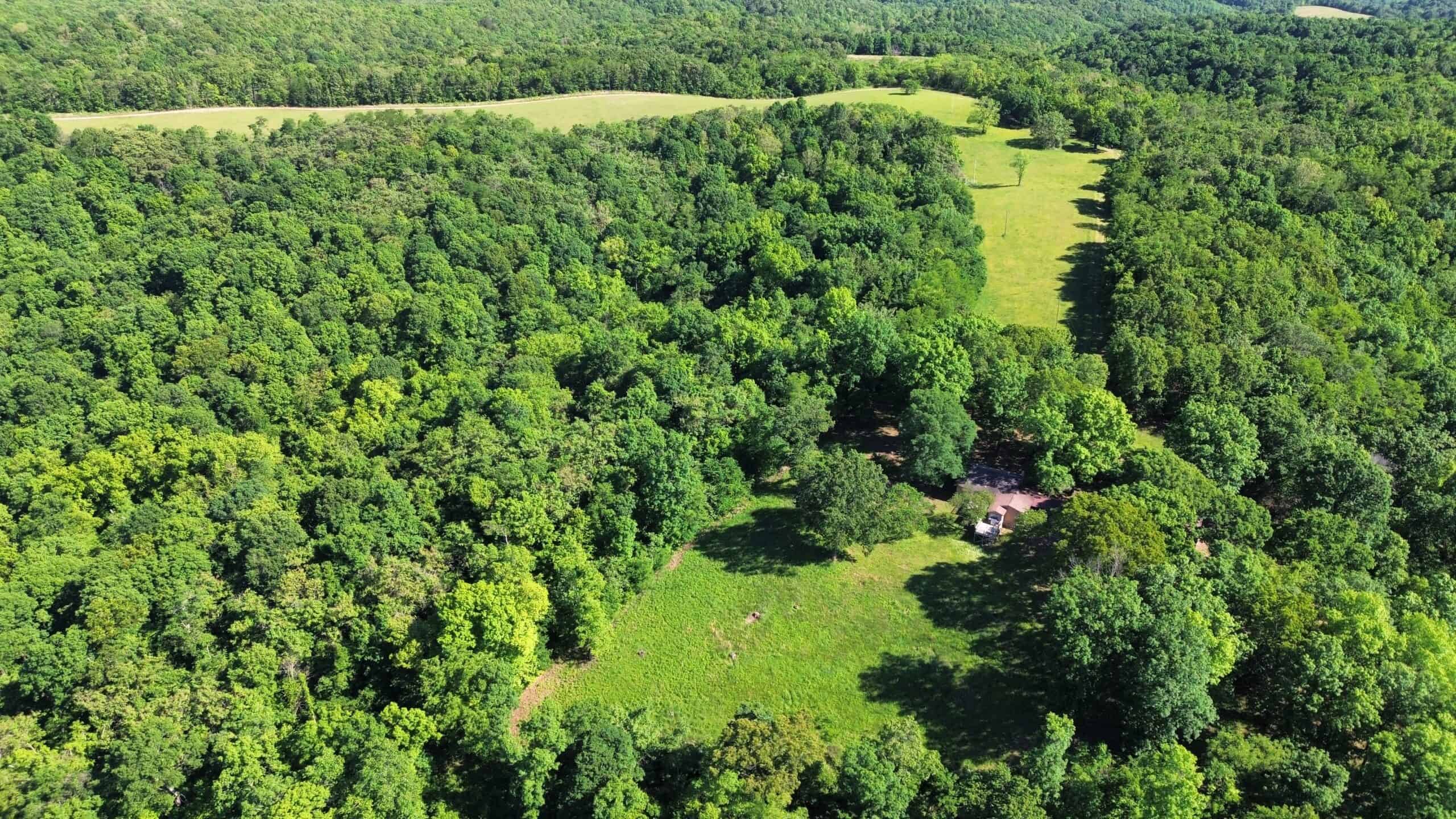 OZARK MOUNTAINS LAND AND HOME FOR SALE IN ARKANSAS