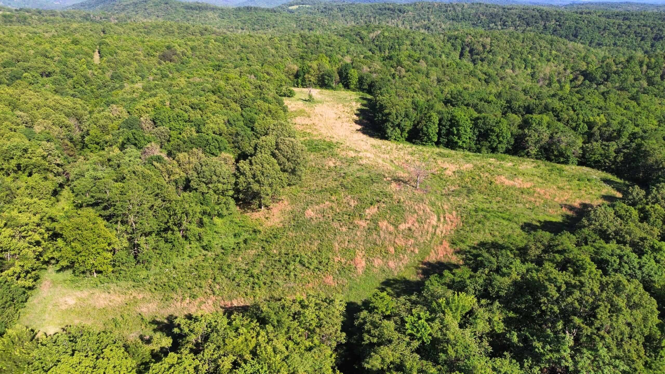 OZARK MOUNTAINS LAND AND HOME FOR SALE IN ARKANSAS