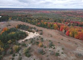 94 +/- Acre Wooded and Open Field Parcel Kalkaska, MI