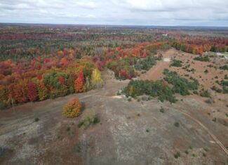 94 +/- Acre Wooded and Open Field Parcel Kalkaska, MI