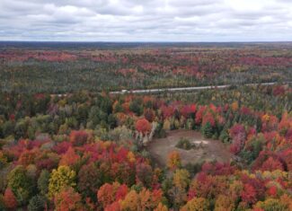 94 +/- Acre Wooded and Open Field Parcel Kalkaska, MI