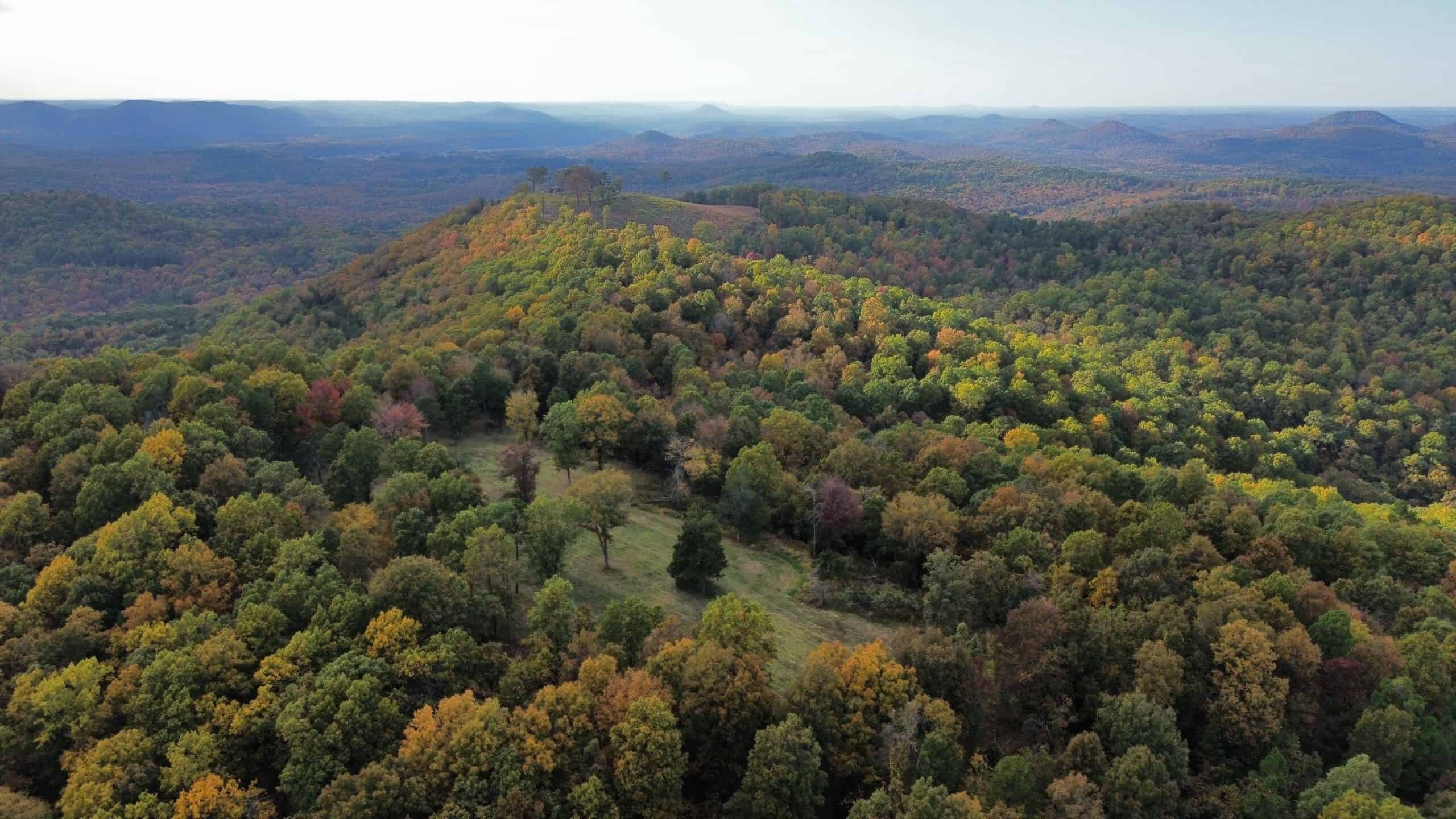 219.48 Acres of Unrestricted Land in Melbourne, Arkansas