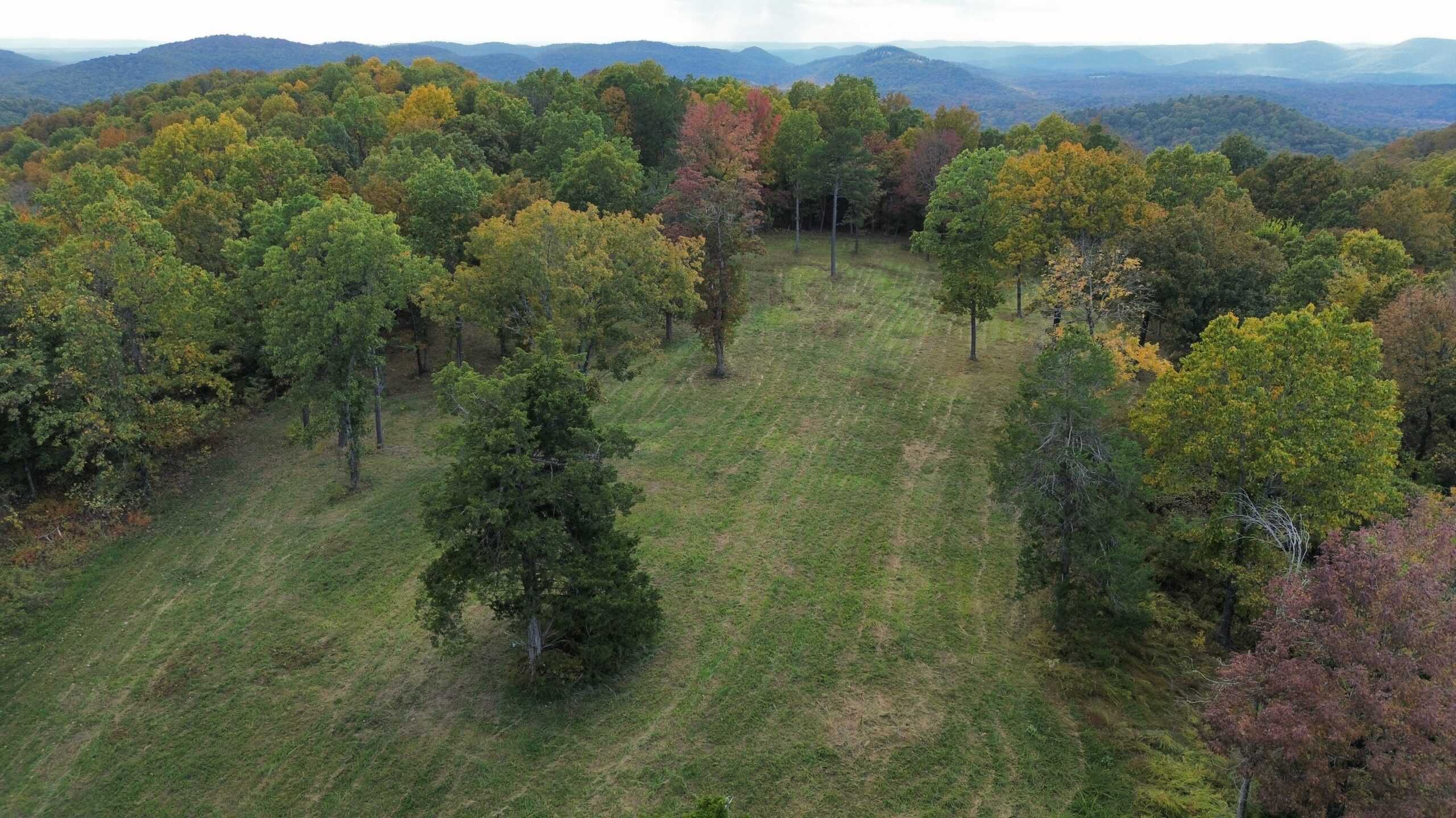 219.48 Acres of Unrestricted Land in Melbourne, Arkansas