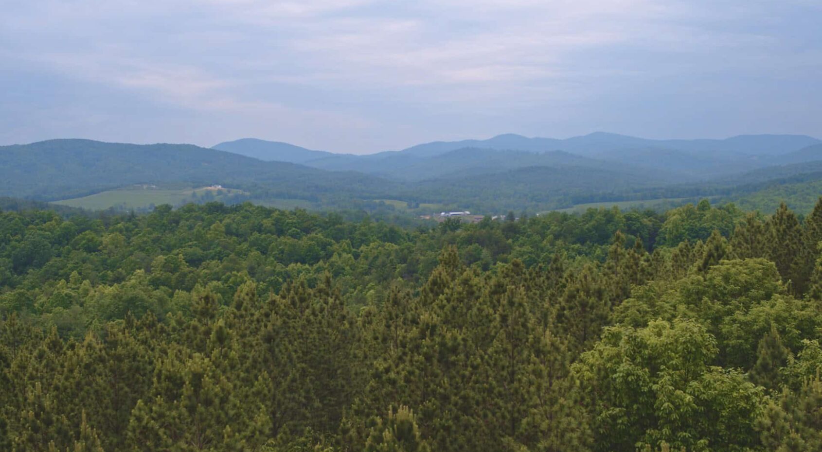 NC Land For Sale/ Large Acreage For Sale/ Timberland UC Hunting