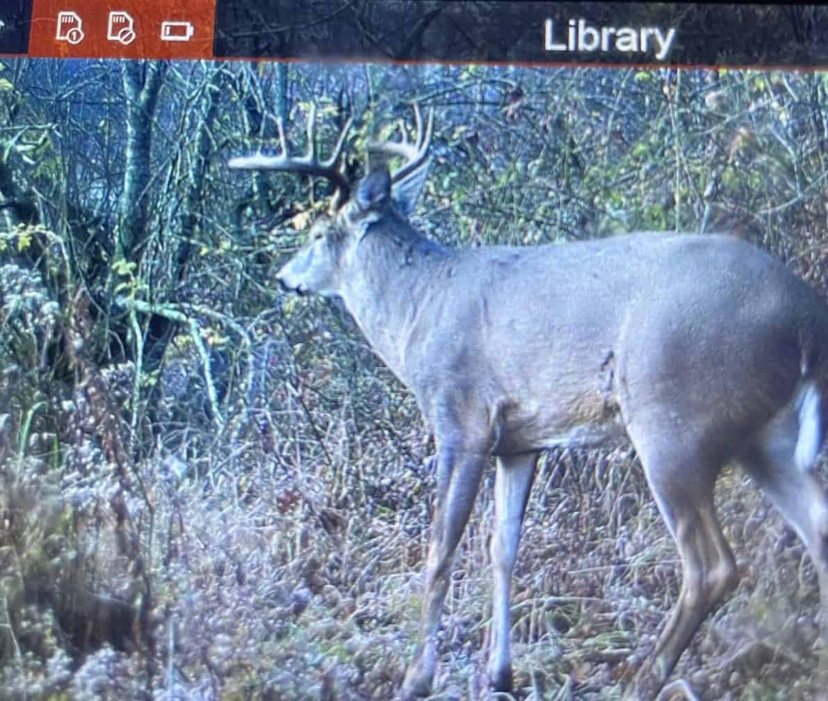 Recreational Property for sale minutes from Wildcat Mountain State Park