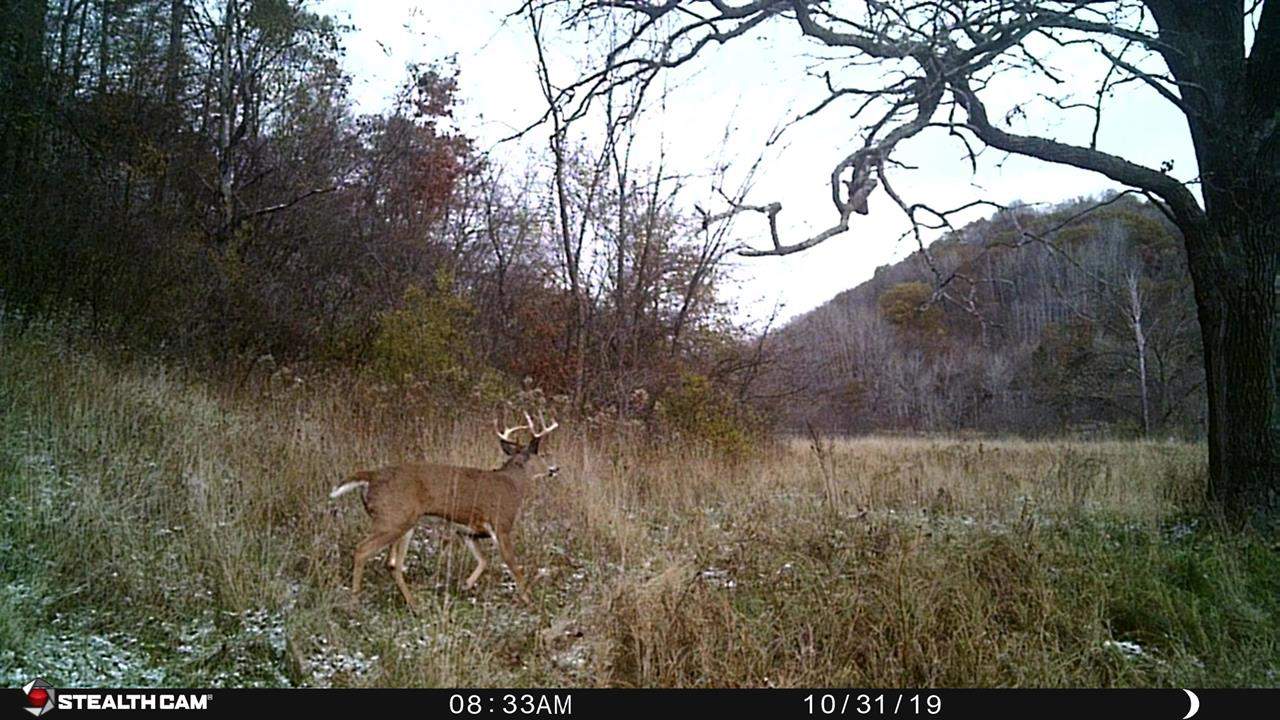 Recreational Property for sale minutes from Wildcat Mountain State Park