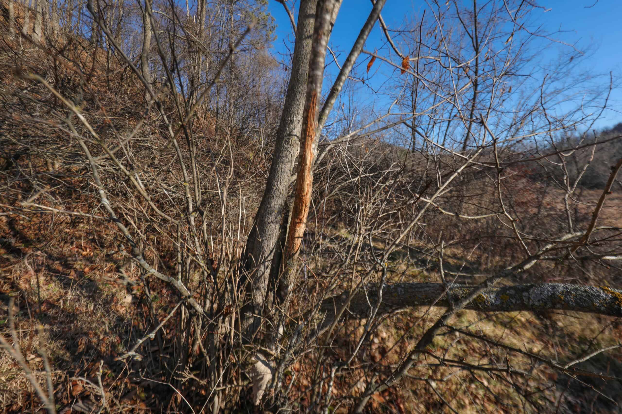 Recreational Property for sale minutes from Wildcat Mountain State Park