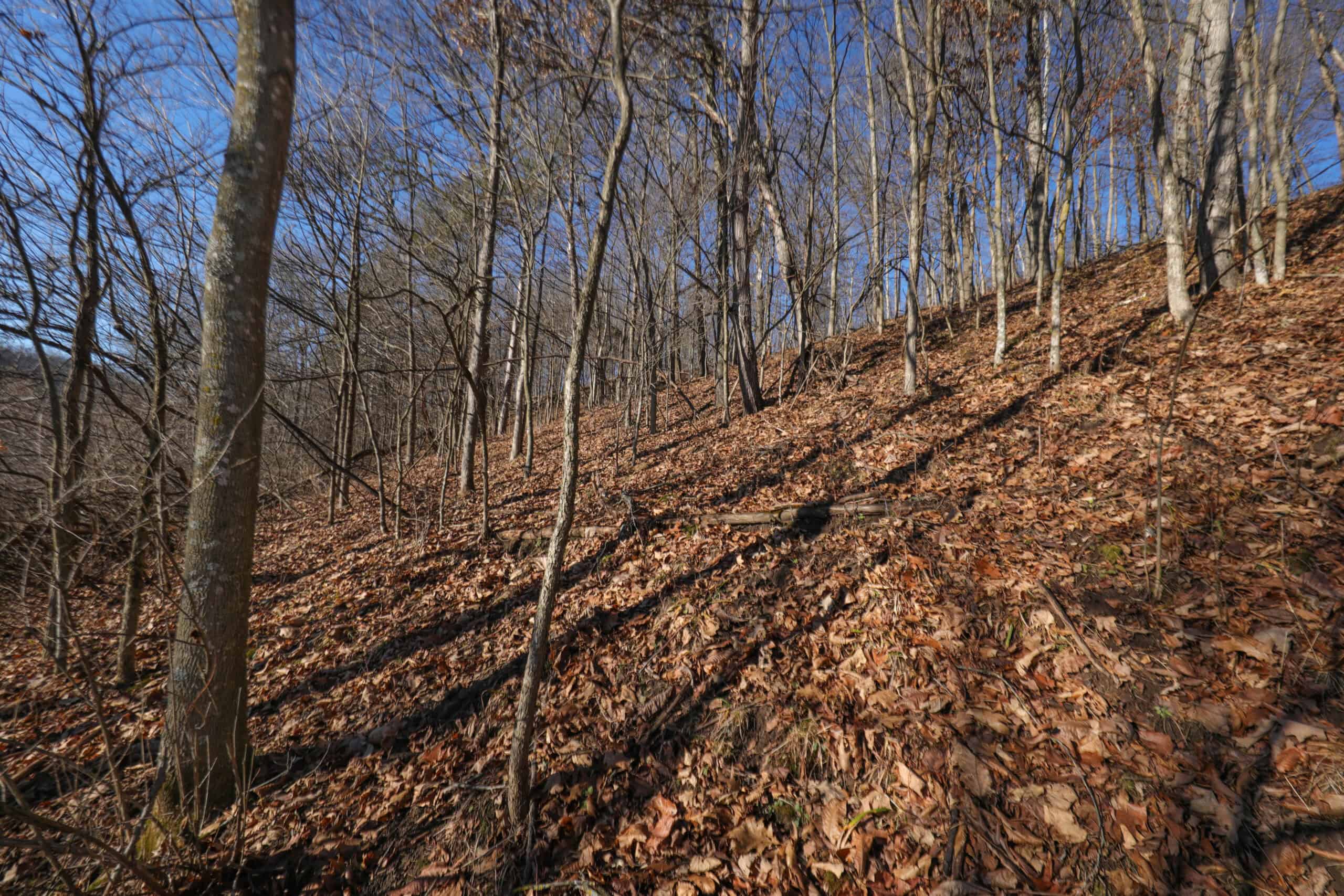 Recreational Property for sale minutes from Wildcat Mountain State Park