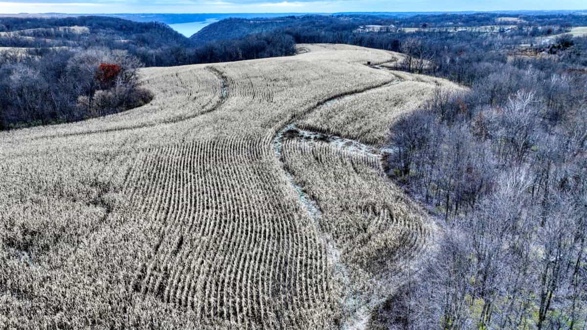 52+/- Acre Property Located on Lucky Lane in Crawford County, WI
