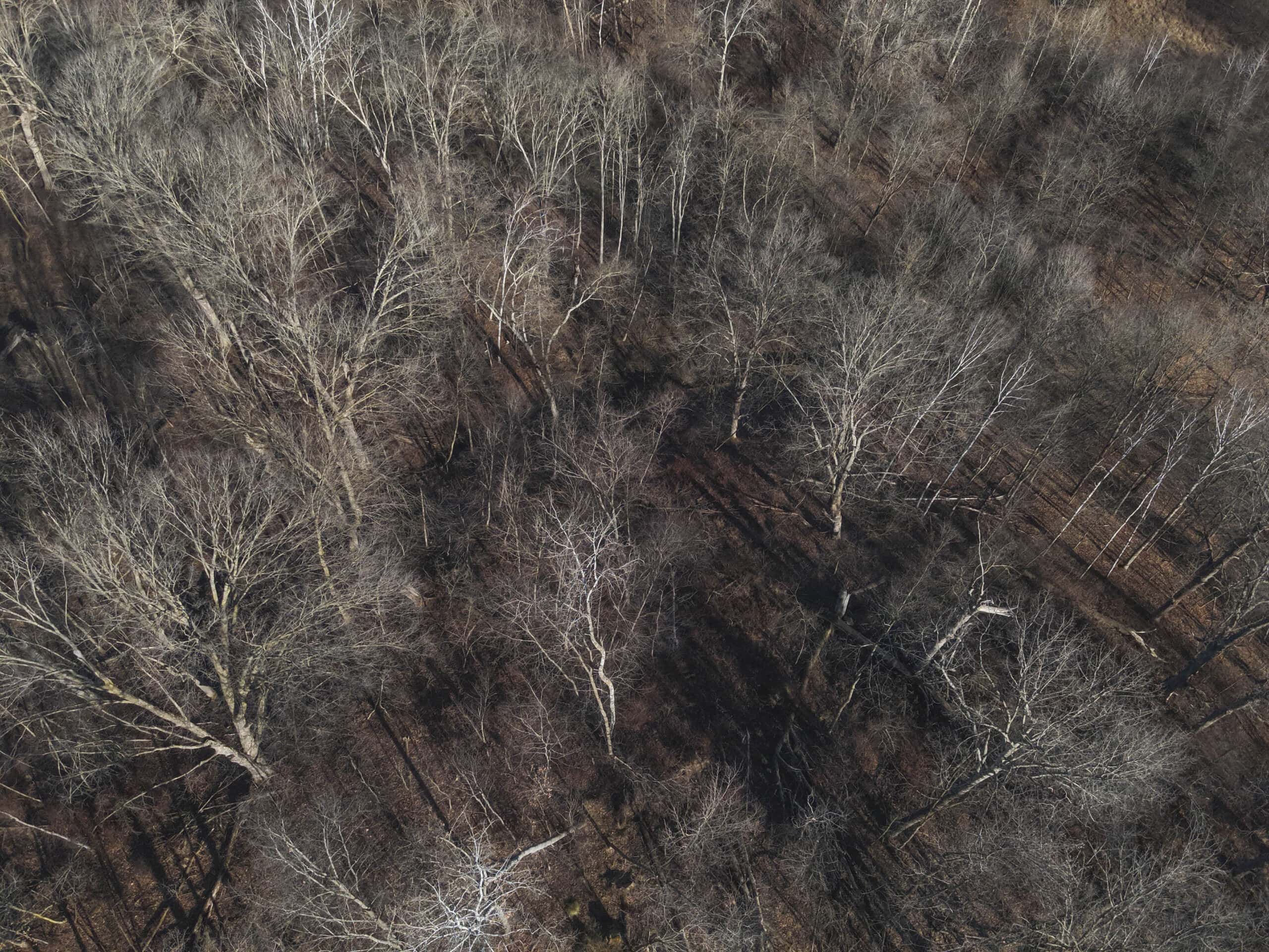 Recreational Property for sale minutes from Wildcat Mountain State Park