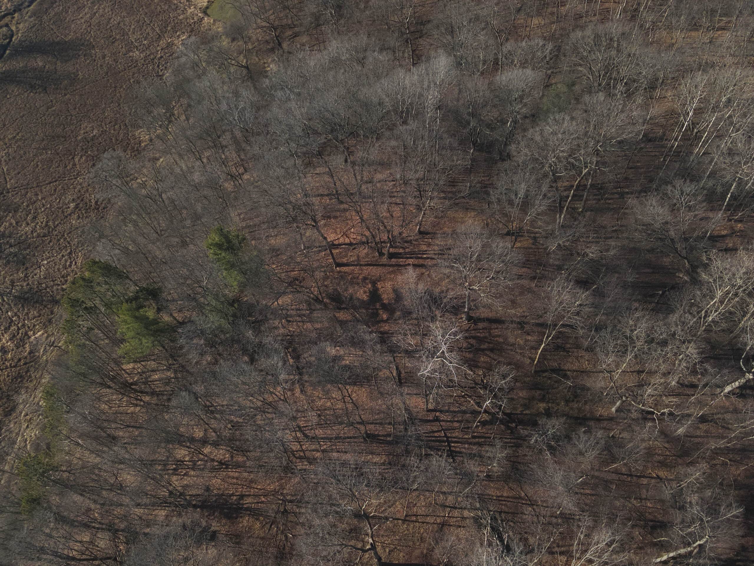 Recreational Property for sale minutes from Wildcat Mountain State Park