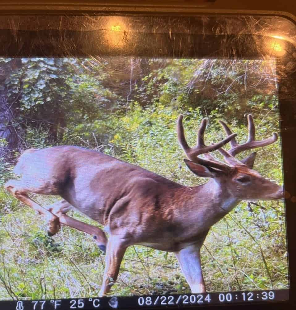 Recreational Property for sale minutes from Wildcat Mountain State Park