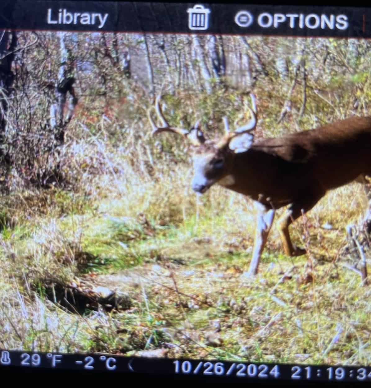 Recreational Property for sale minutes from Wildcat Mountain State Park