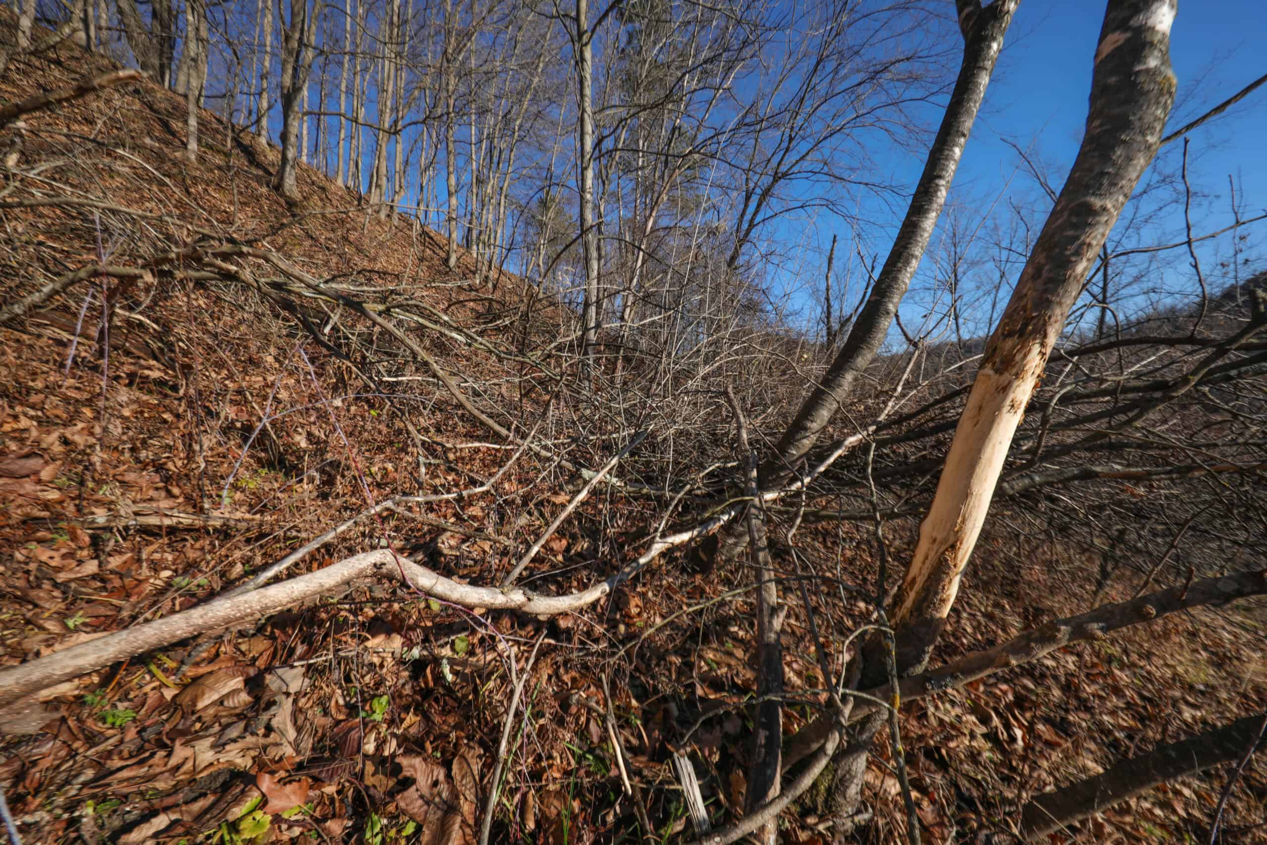 Recreational Property for sale minutes from Wildcat Mountain State Park