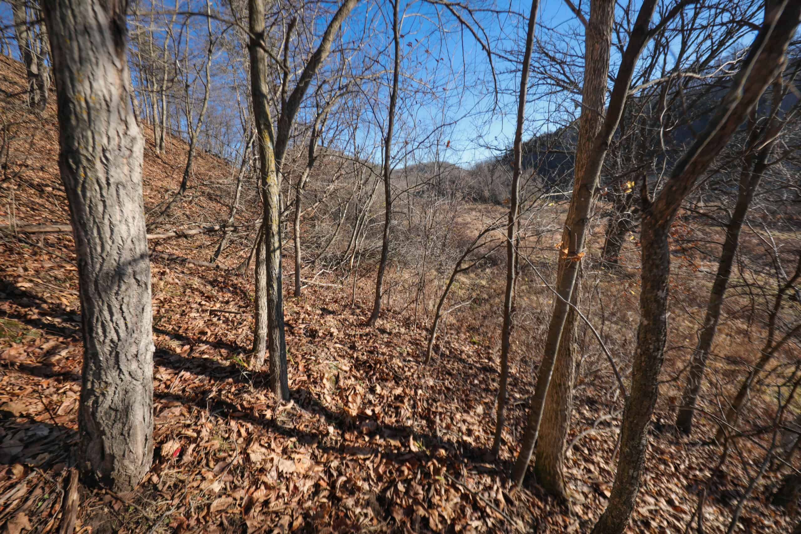 Recreational Property for sale minutes from Wildcat Mountain State Park