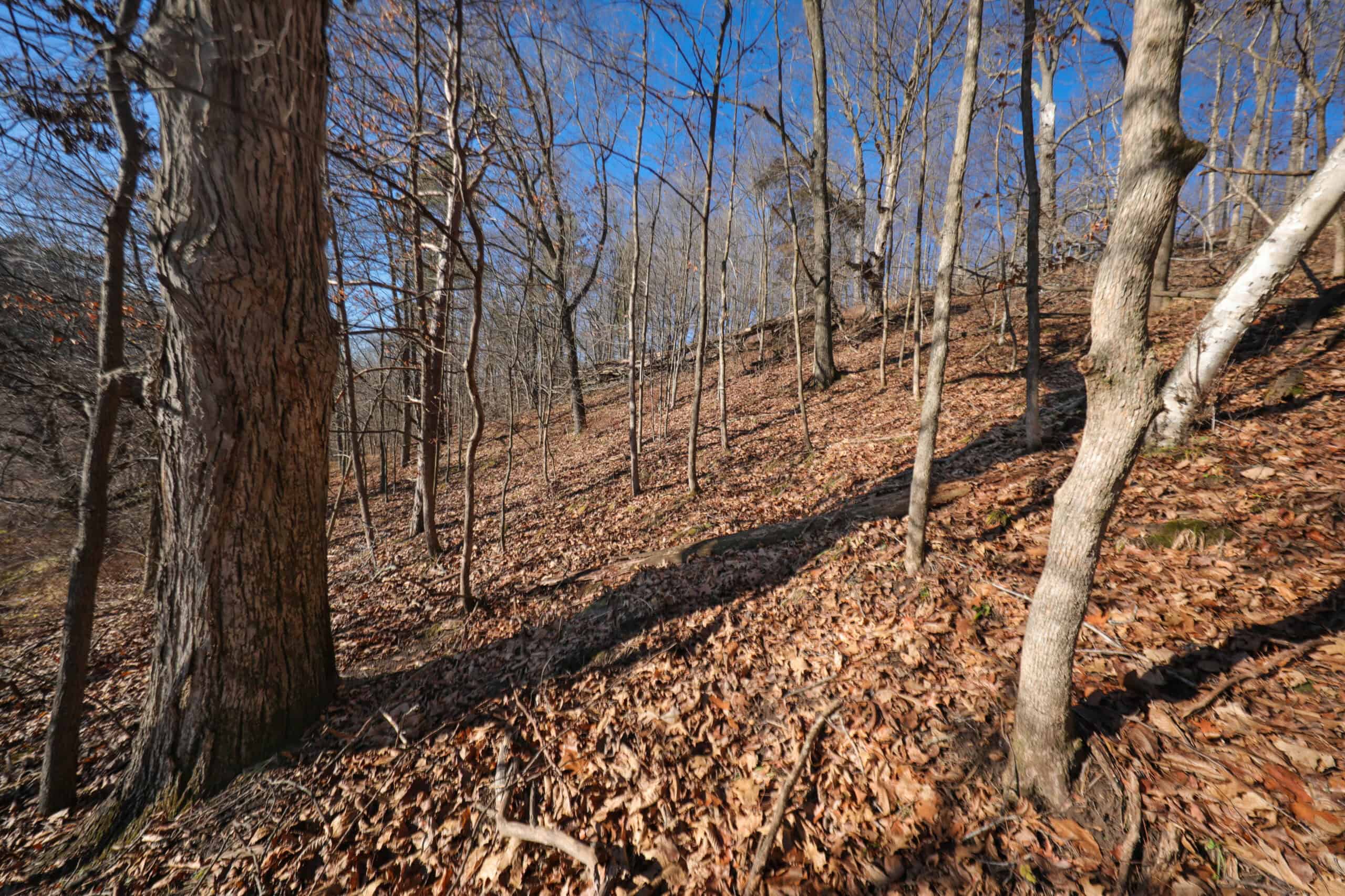 Recreational Property for sale minutes from Wildcat Mountain State Park
