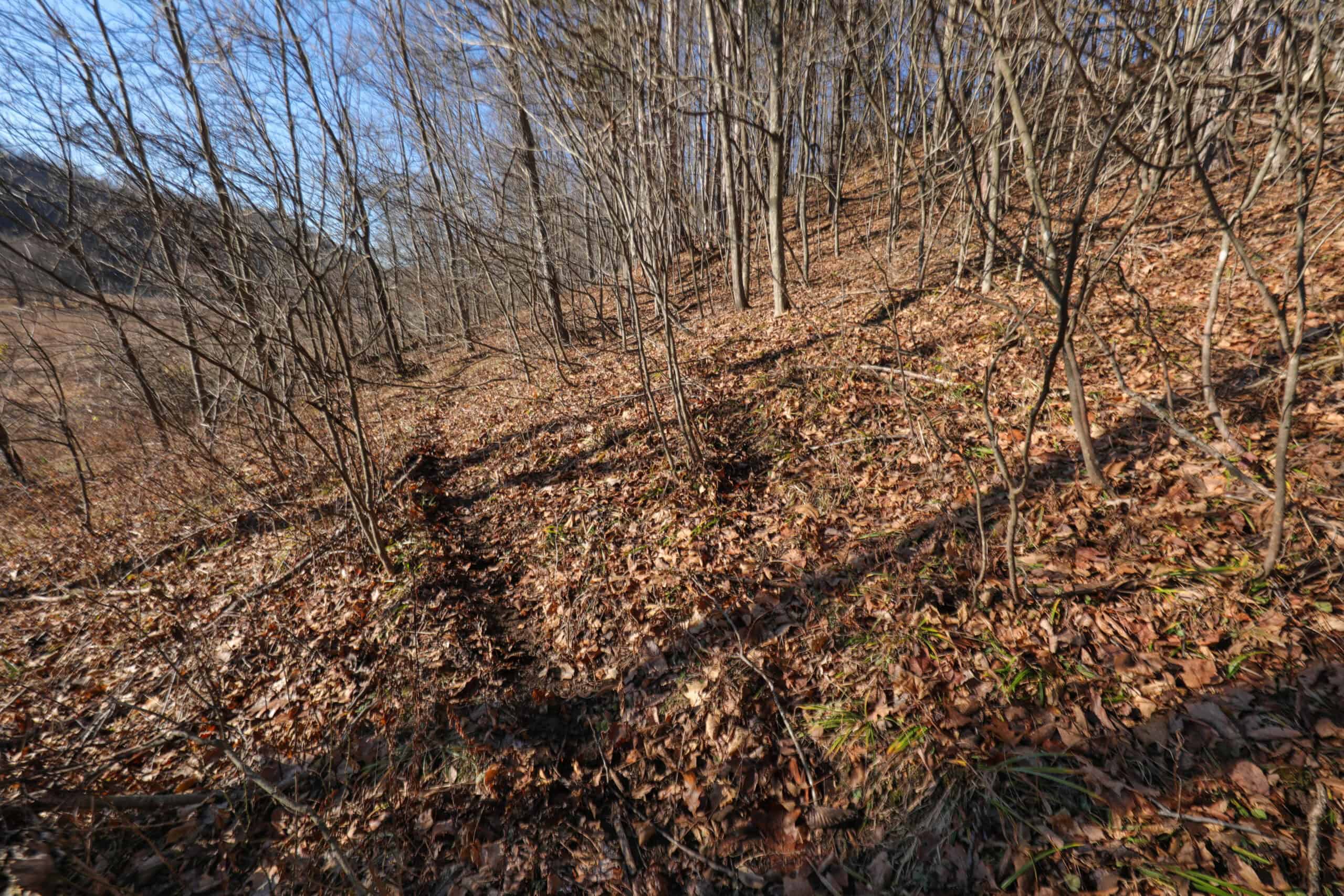 Recreational Property for sale minutes from Wildcat Mountain State Park