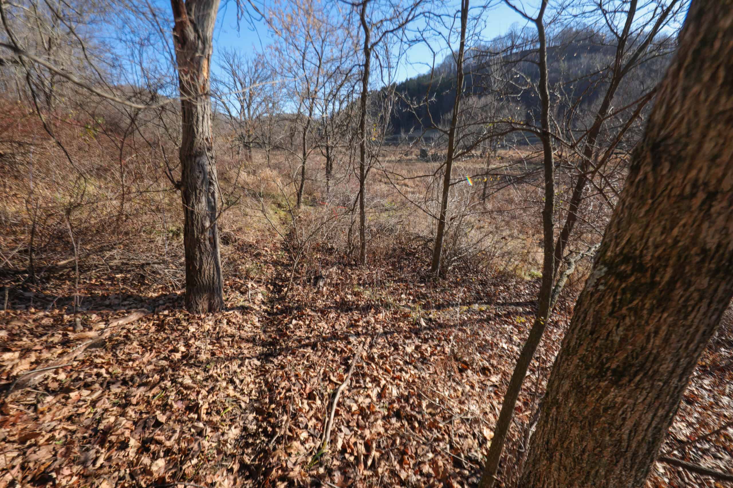 Recreational Property for sale minutes from Wildcat Mountain State Park