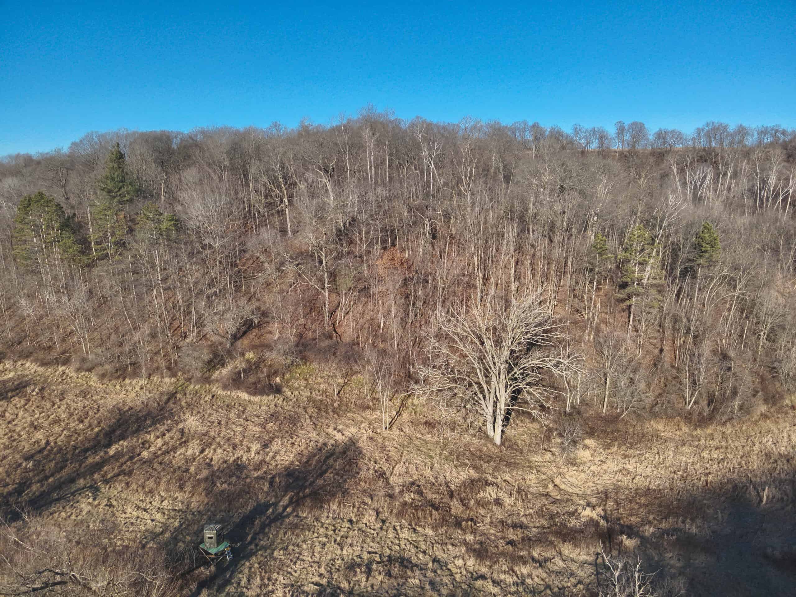 Recreational Property for sale minutes from Wildcat Mountain State Park