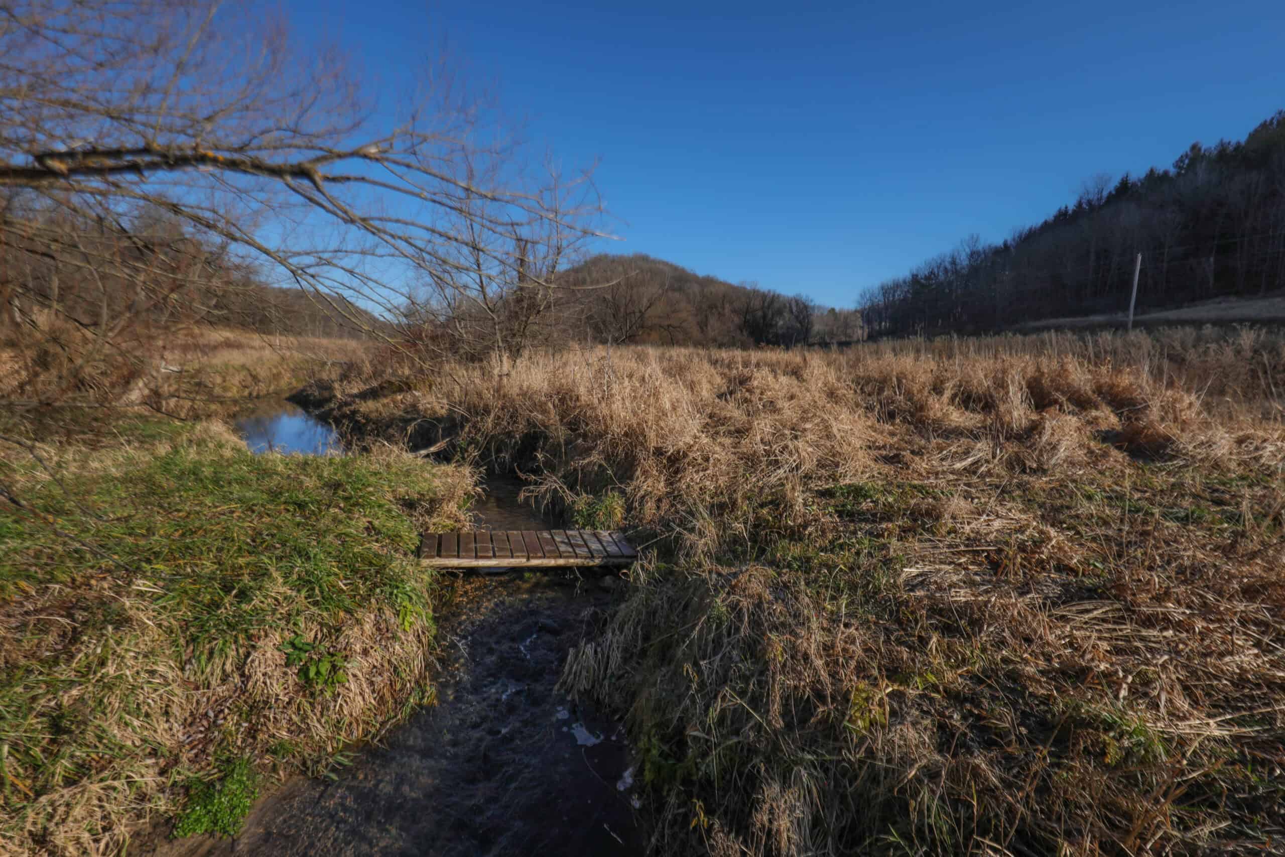 Recreational Property for sale minutes from Wildcat Mountain State Park
