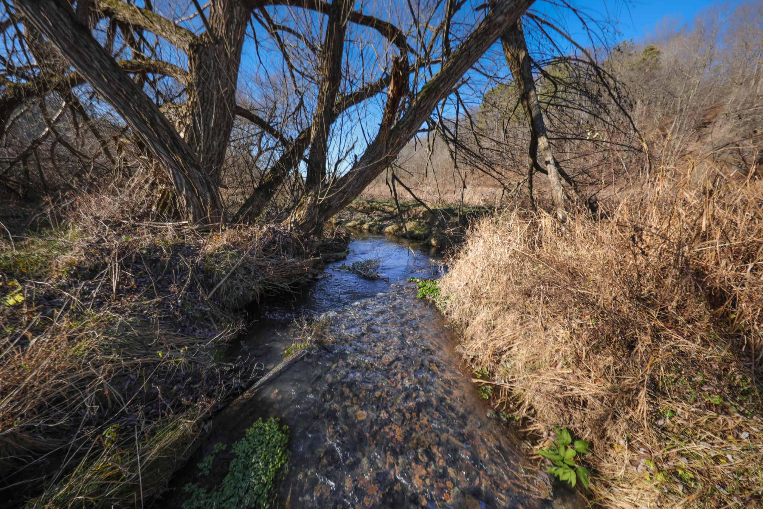 Recreational Property for sale minutes from Wildcat Mountain State Park
