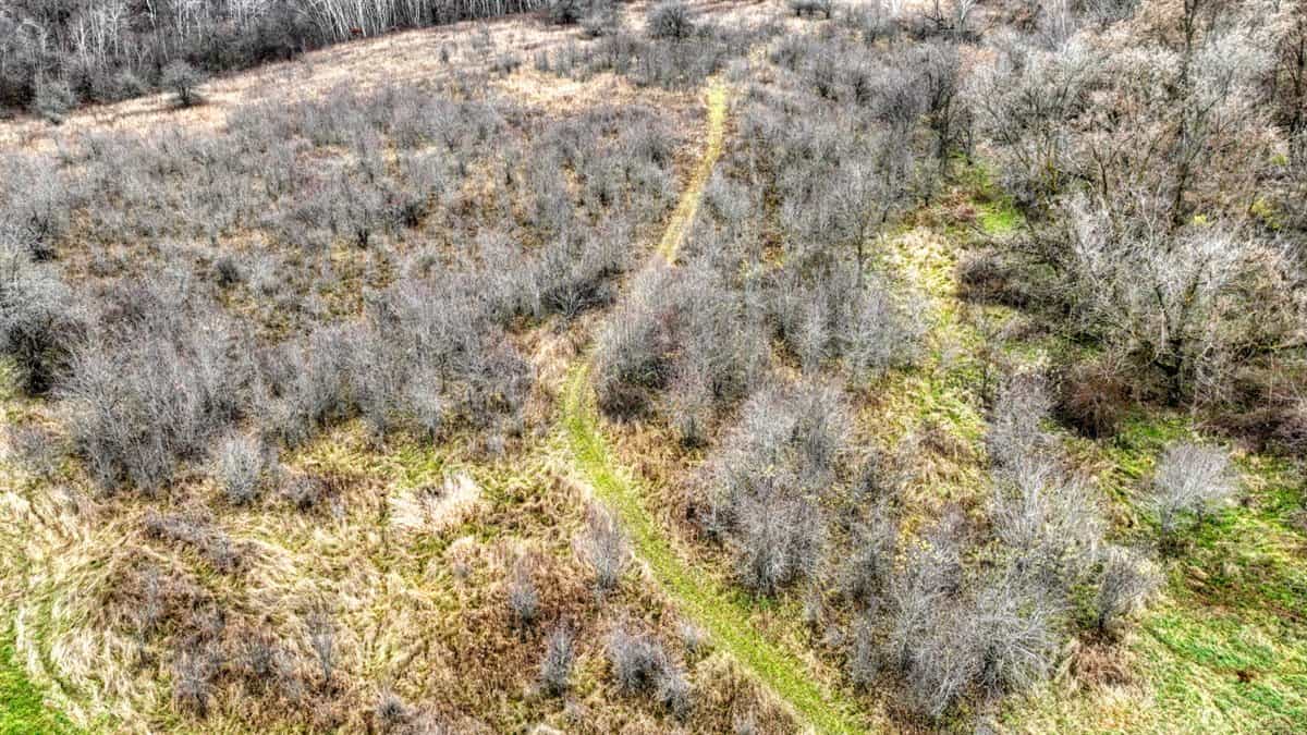 32 Acres with Endless Possibilities in Monroe County WI