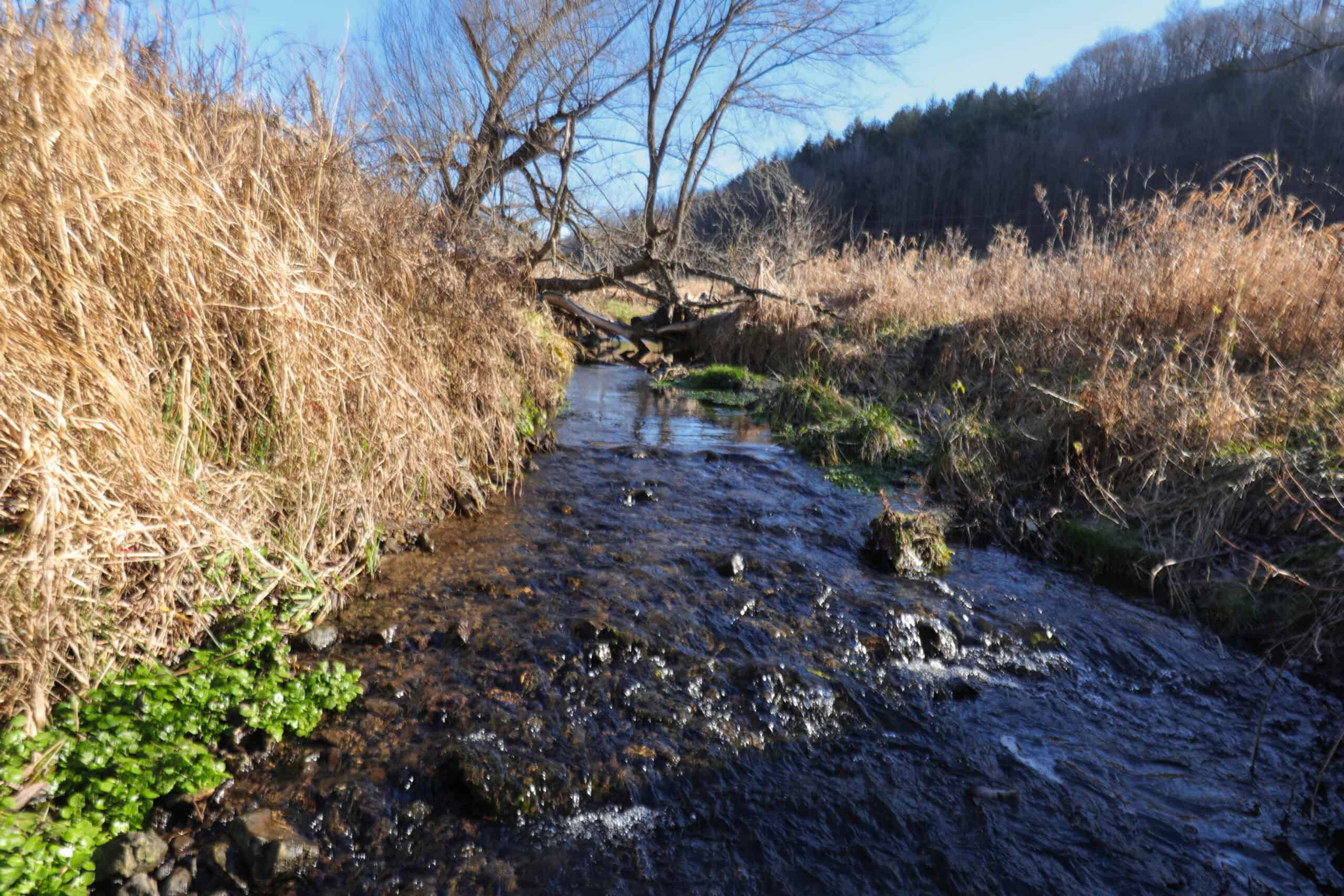 Recreational Property for sale minutes from Wildcat Mountain State Park
