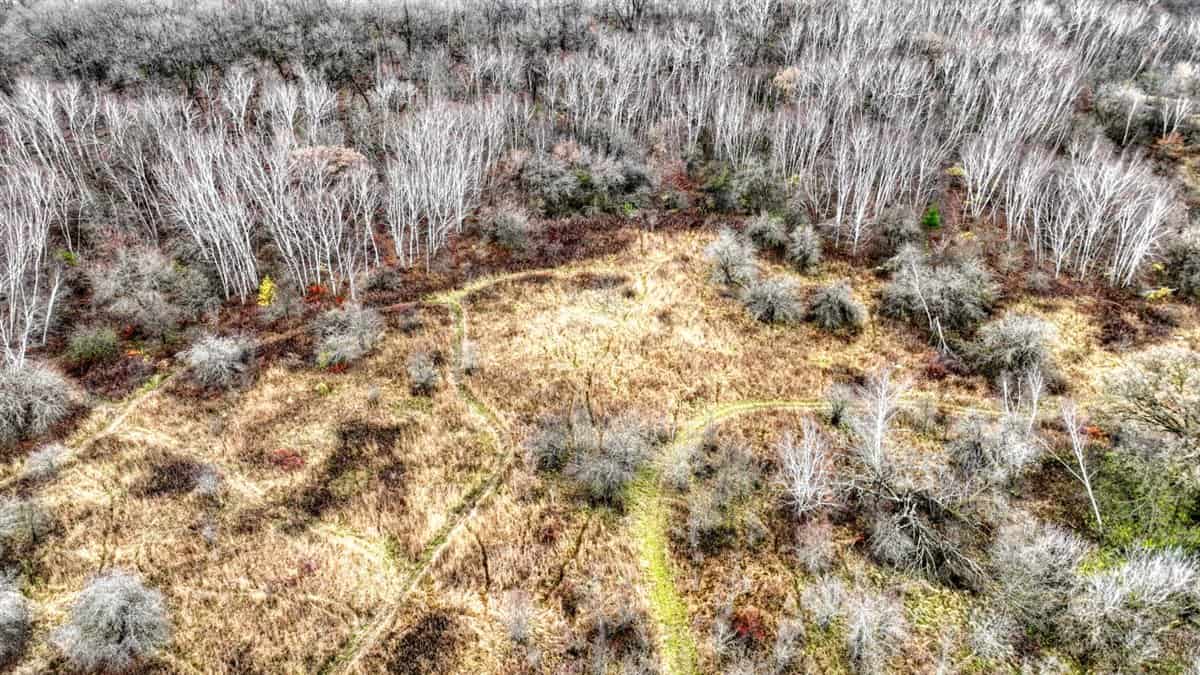 32 Acres with Endless Possibilities in Monroe County WI