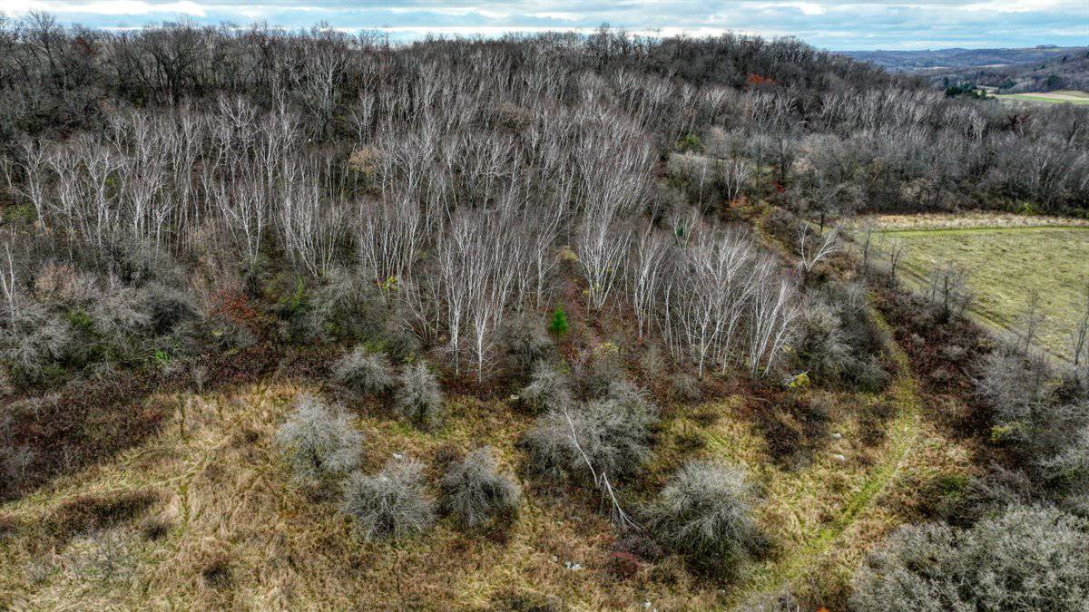 32 Acres with Endless Possibilities in Monroe County WI