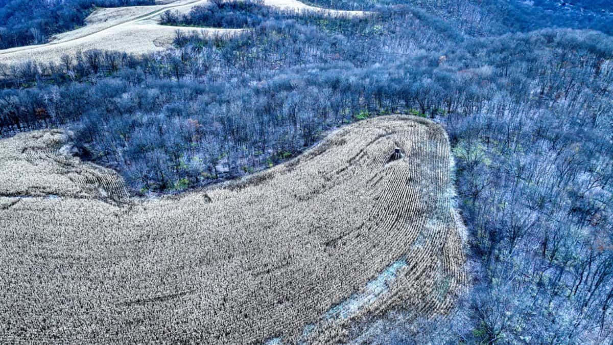 52+/- Acre Property Located on Lucky Lane in Crawford County, WI